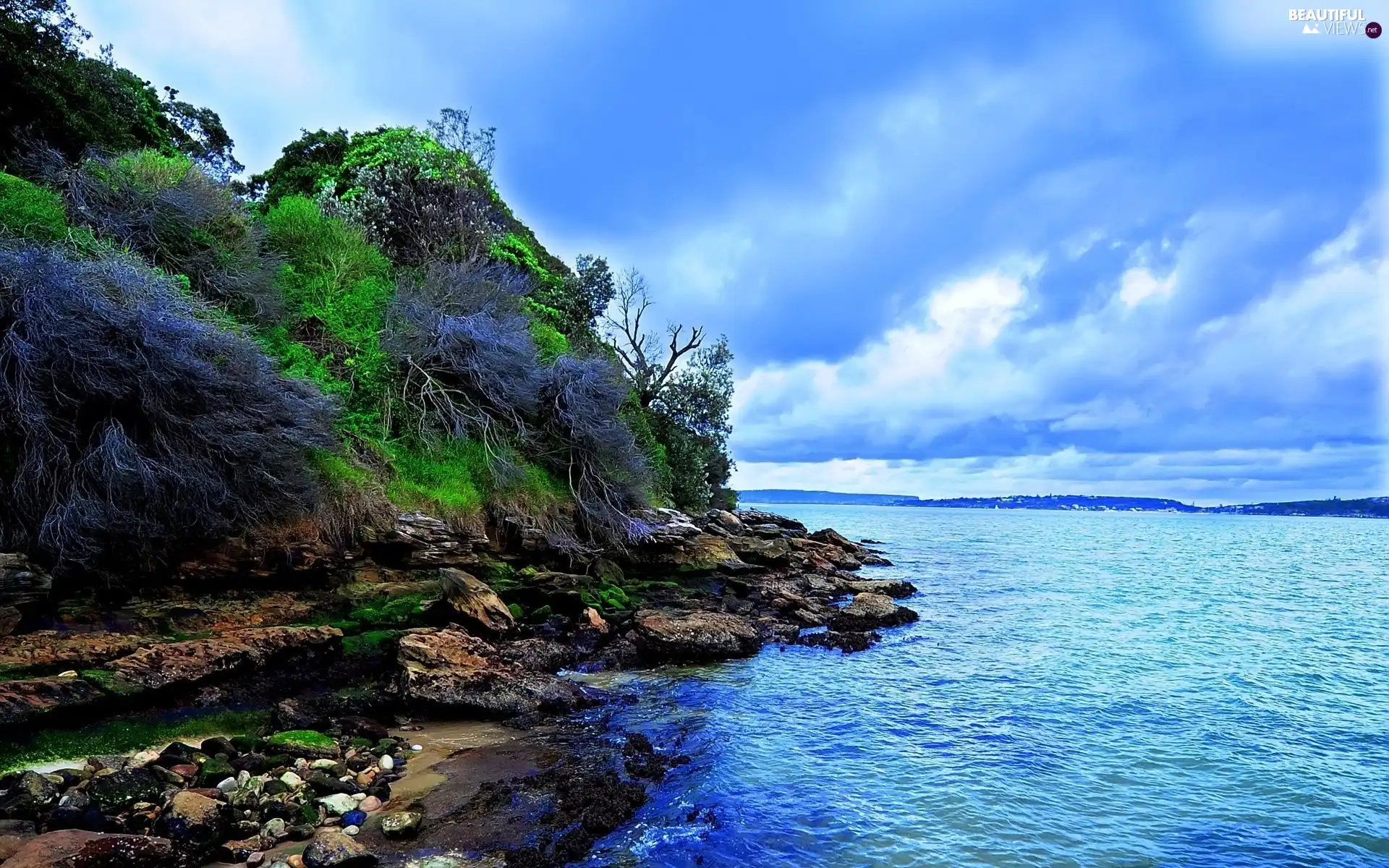 clouds, lake, coast