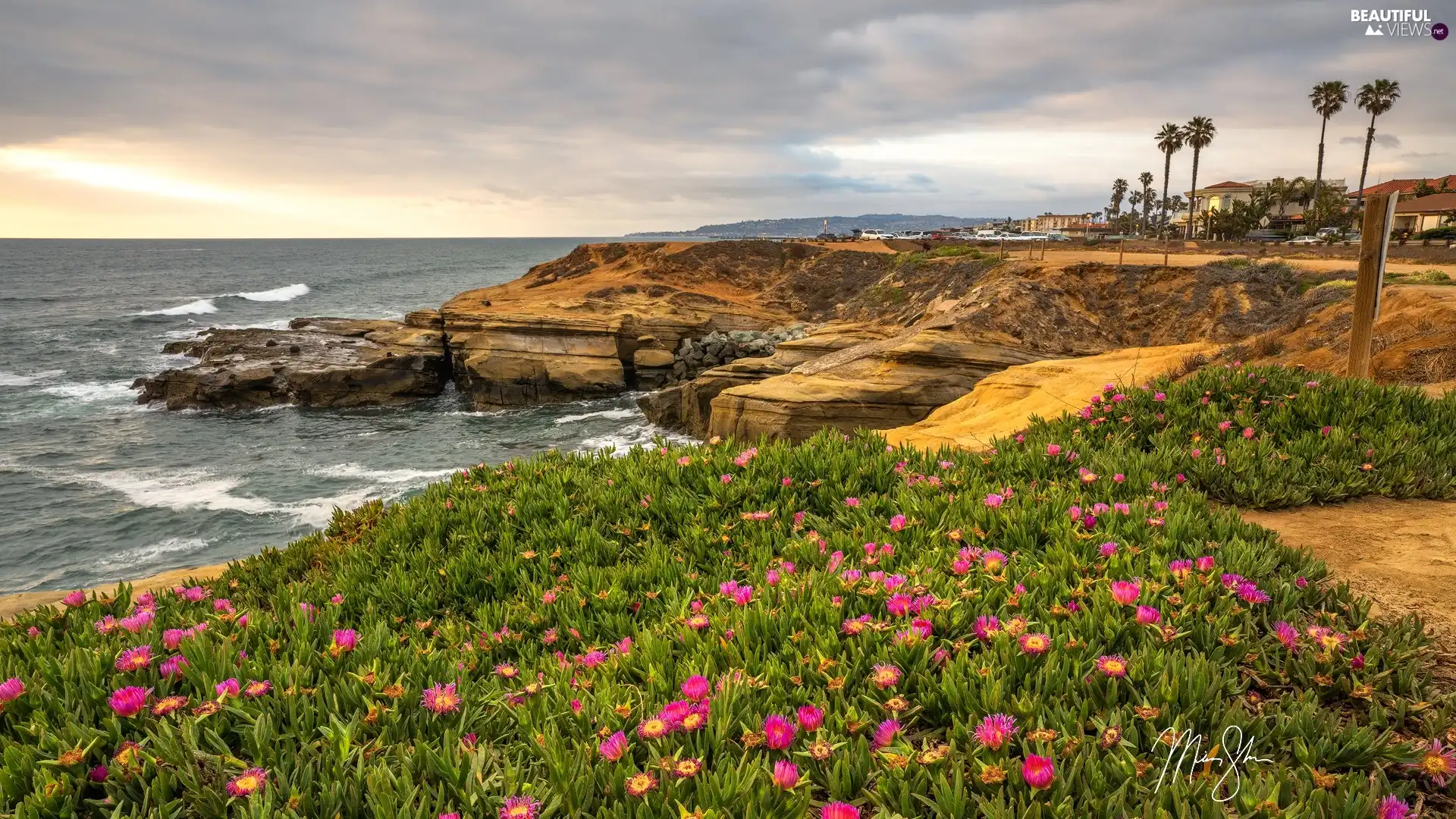 Flowers, clouds, Coast, rocks, sea