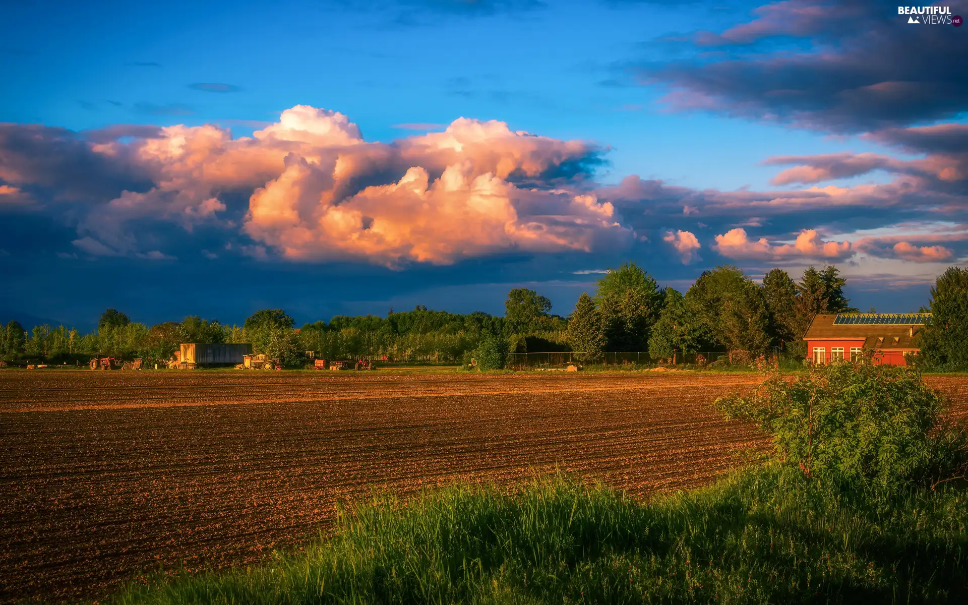 trees, Houses, Sky, clouds, viewes, Field