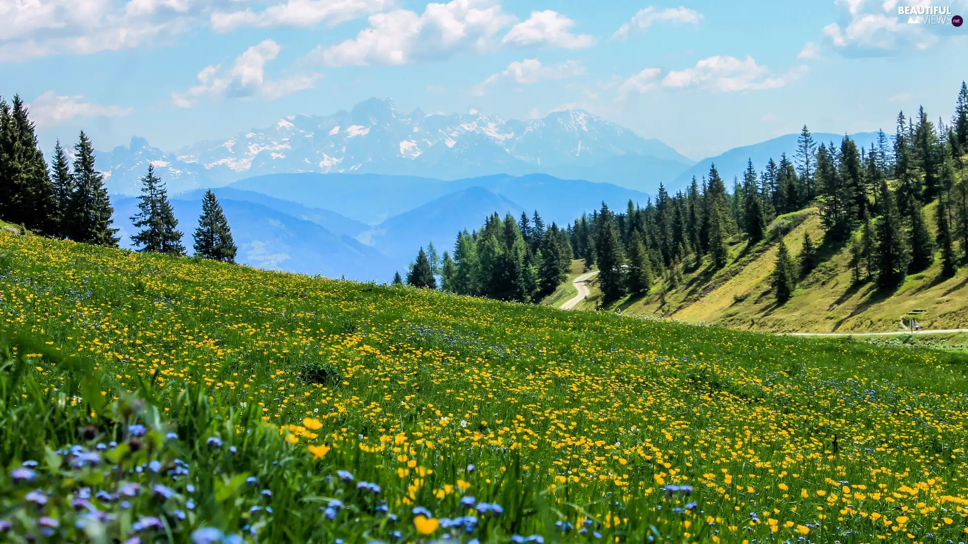 Mountains, Meadow, viewes, clouds, trees, Flowers