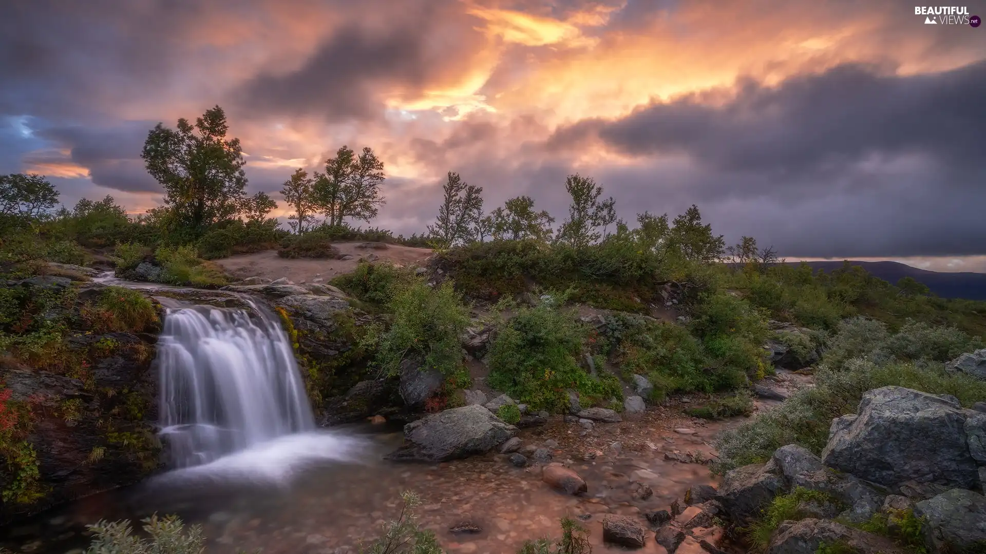 trees, River, Stones, clouds, viewes, flux