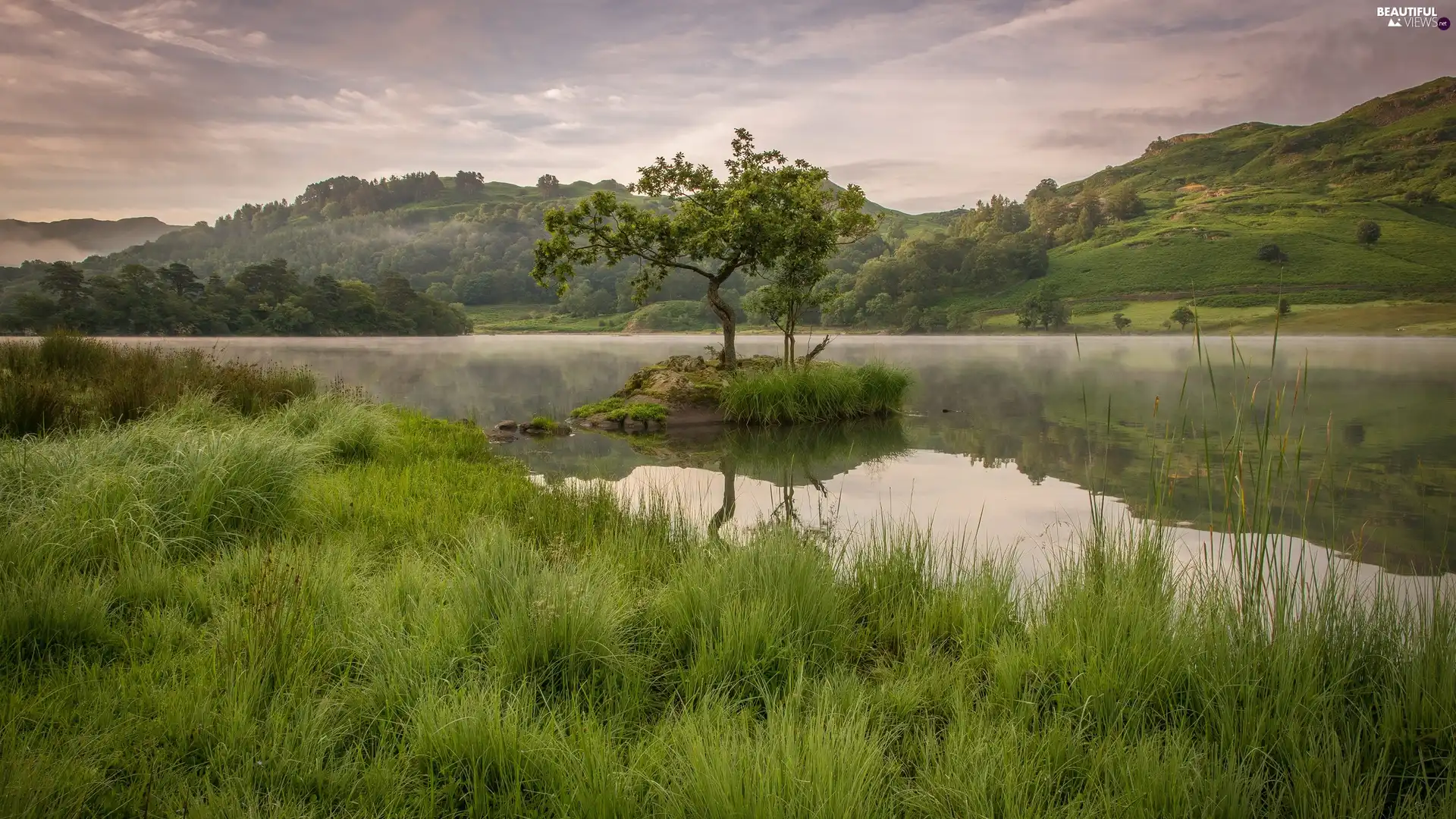 viewes, grass, Fog, trees, lake, The Hills, clouds