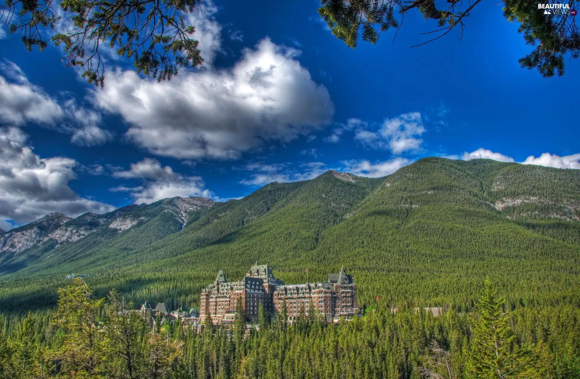 forest, Hotel hall, clouds, Mountains