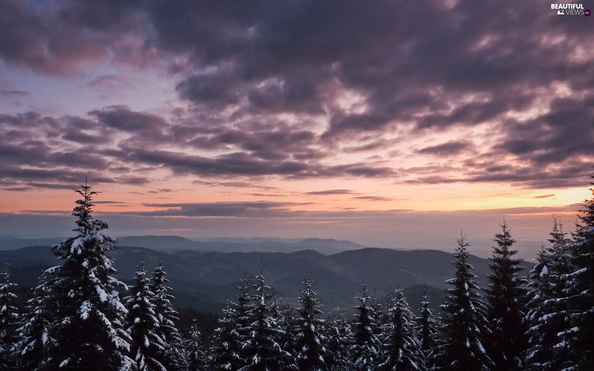 clouds, Mountains, forest