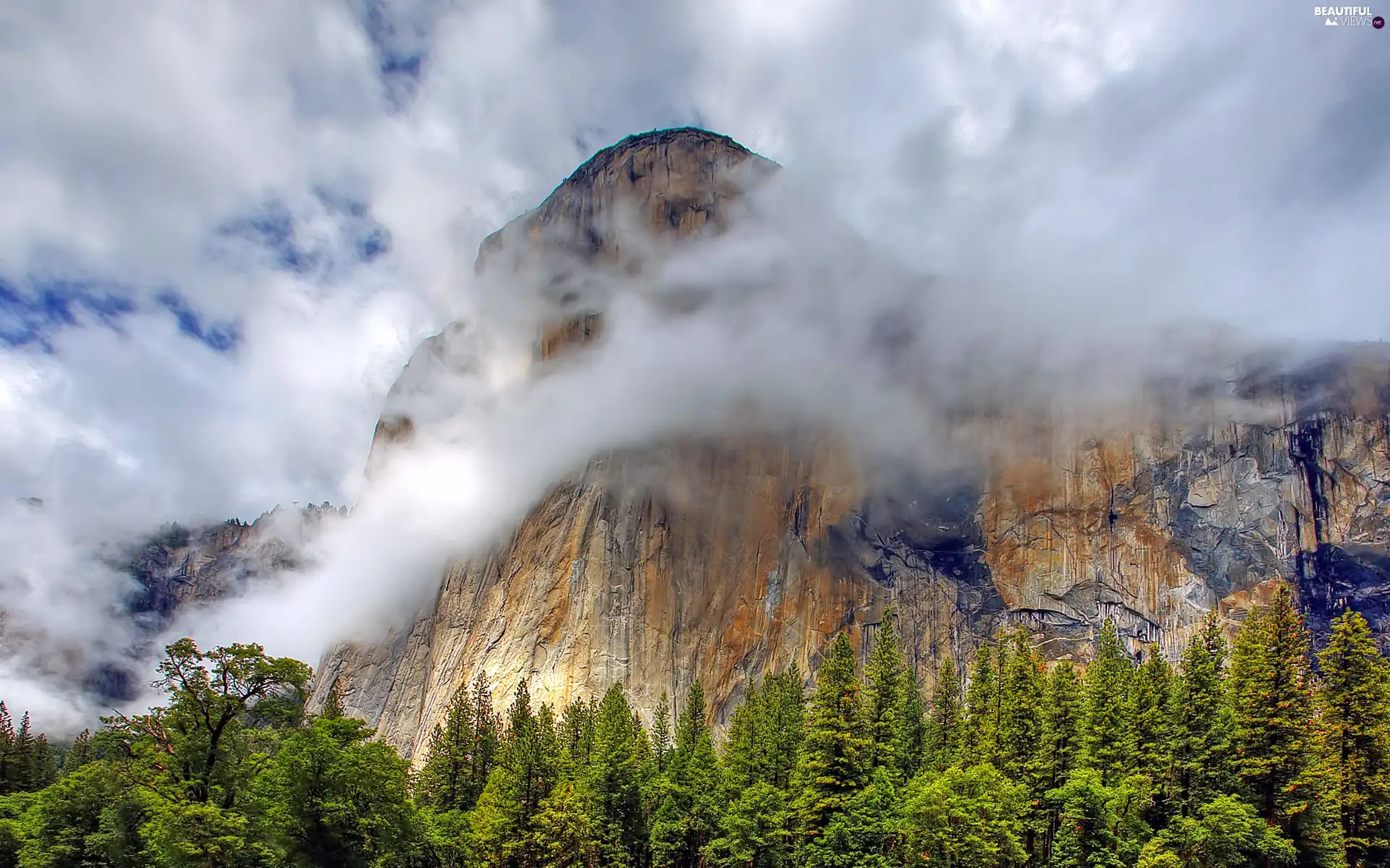 clouds, Mountains, forest