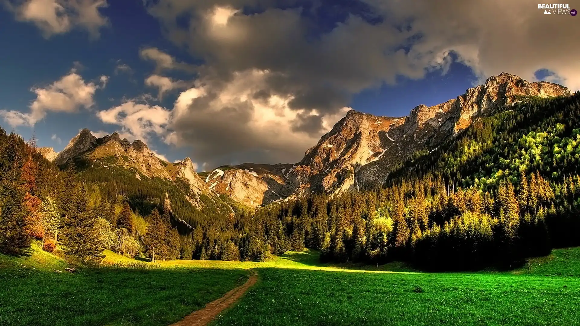 clouds, Mountains, forest