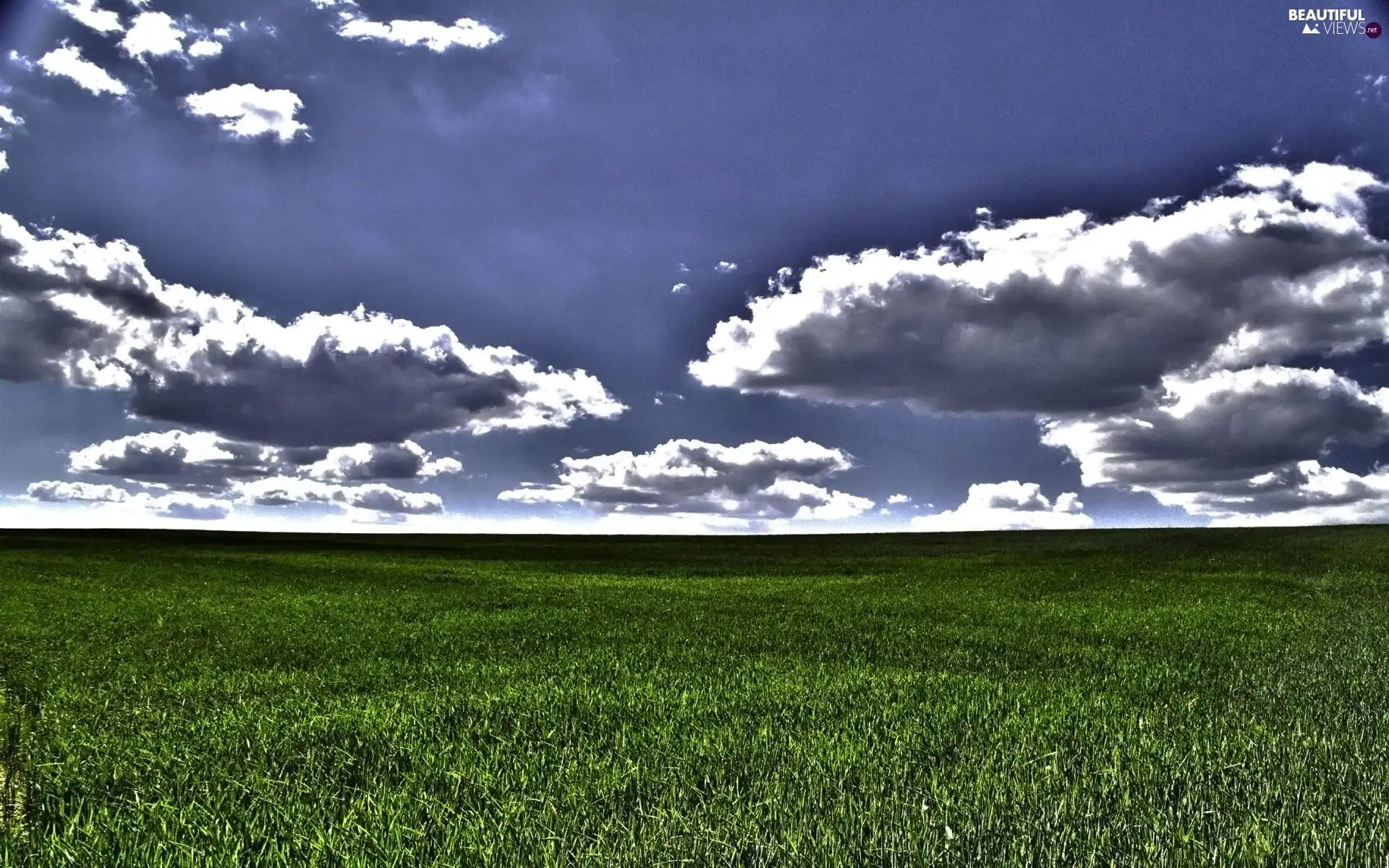 clouds, Field, grass