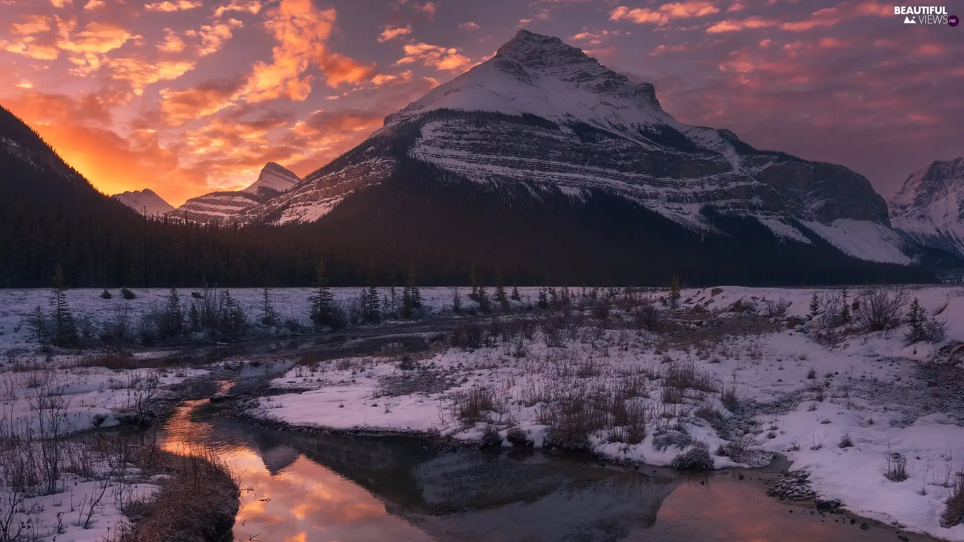 viewes, forest, Great Sunsets, trees, Mountains, winter, clouds