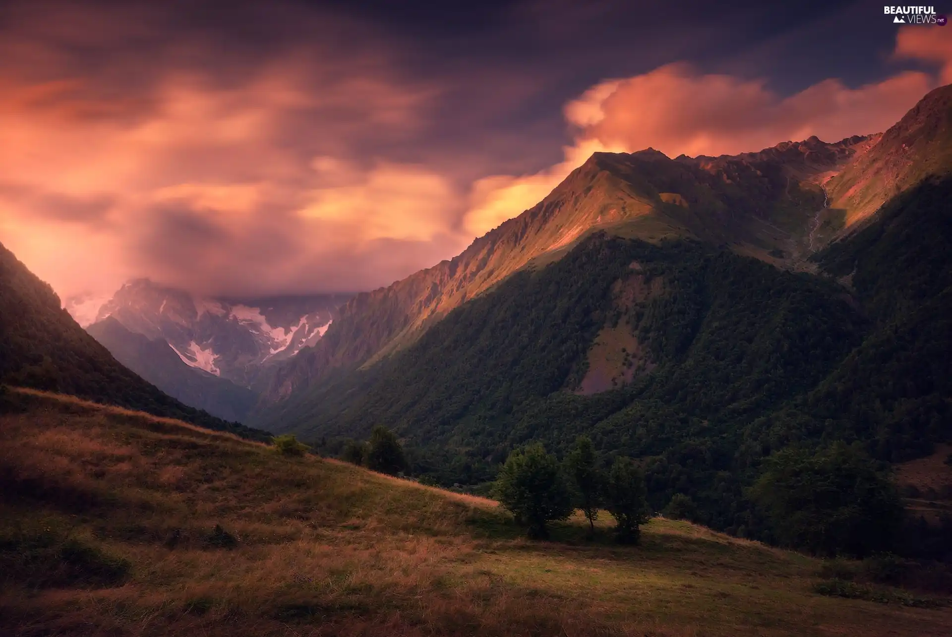 trees, Mountains, Sky, clouds, viewes, Hill