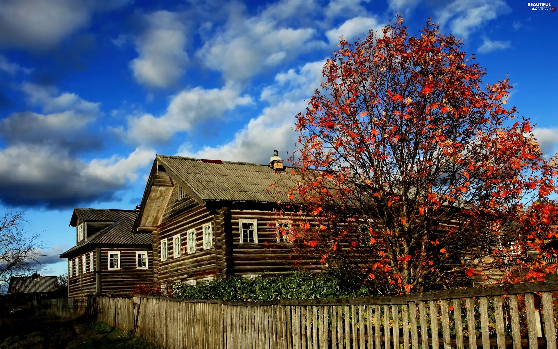 clouds, autumn, Houses