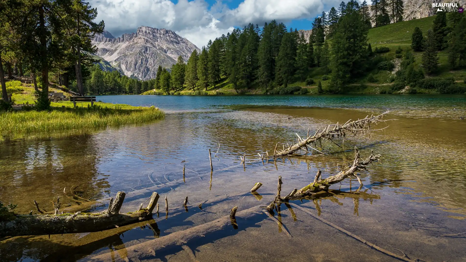 trees, Mountains, Bench, clouds, viewes, lake