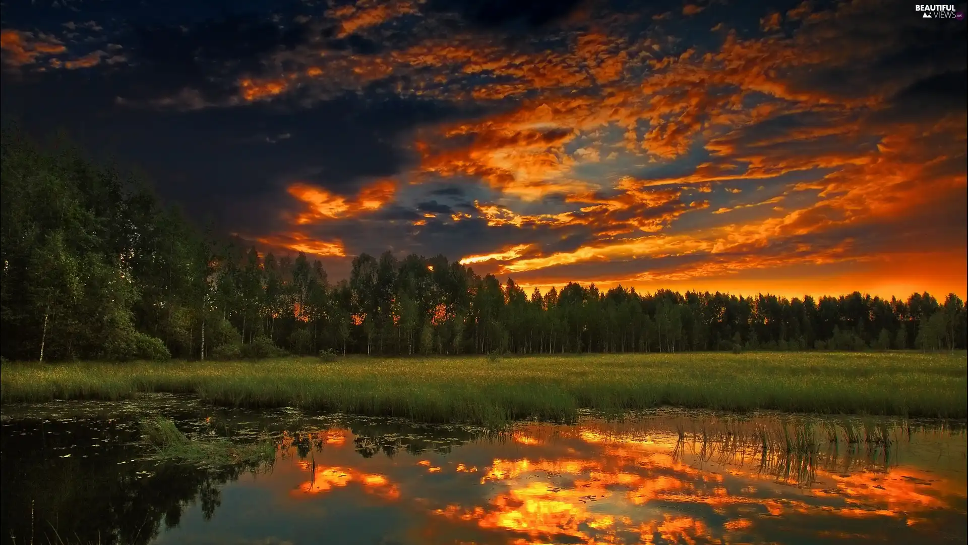 clouds, forest, lake