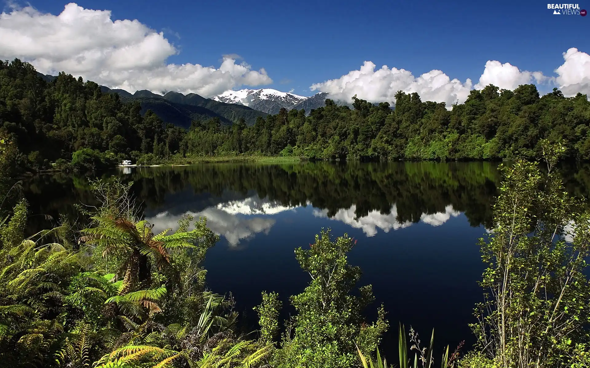 lake, scrub, clouds, woods