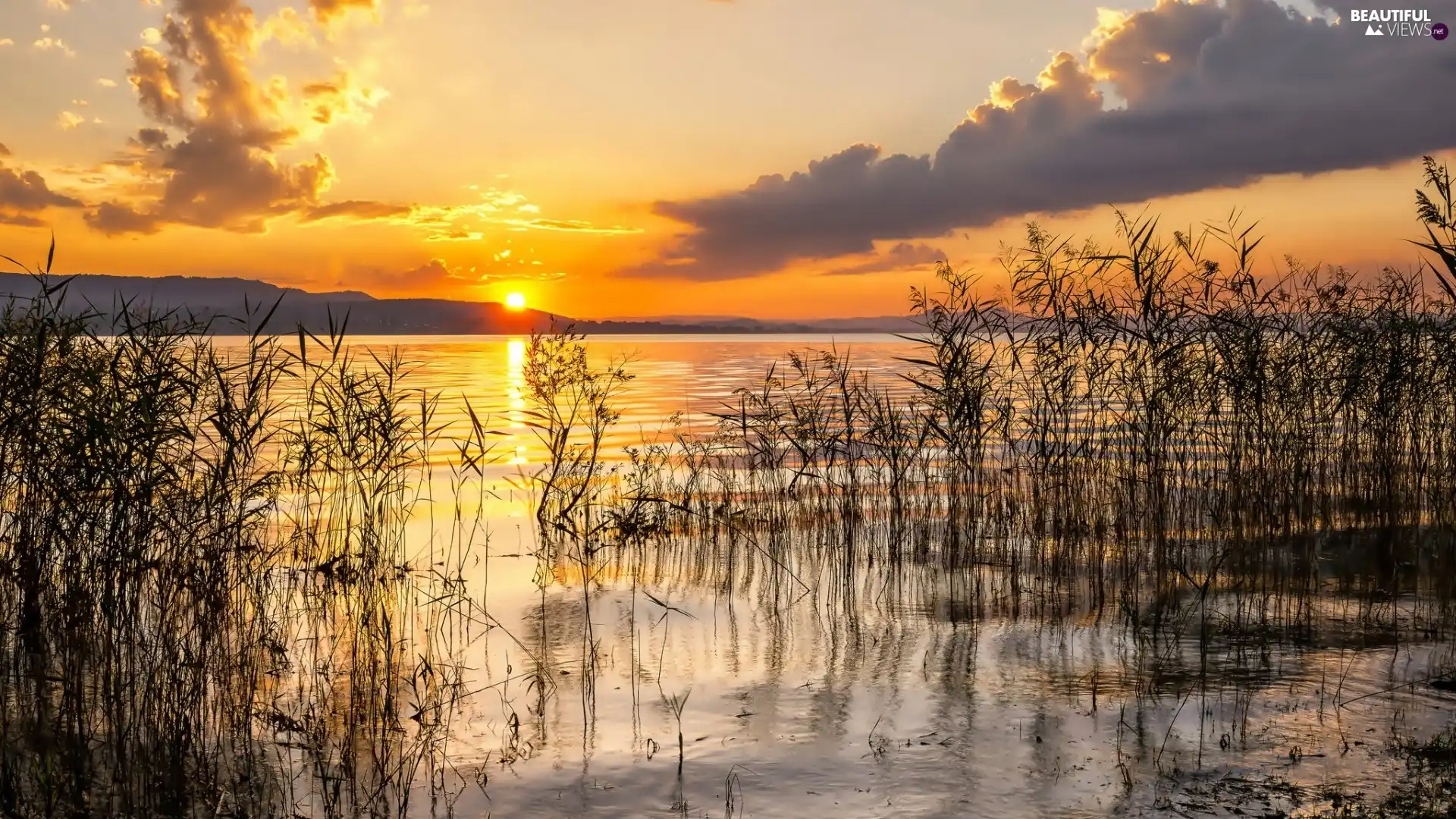 lake, Great Sunsets, clouds, grass