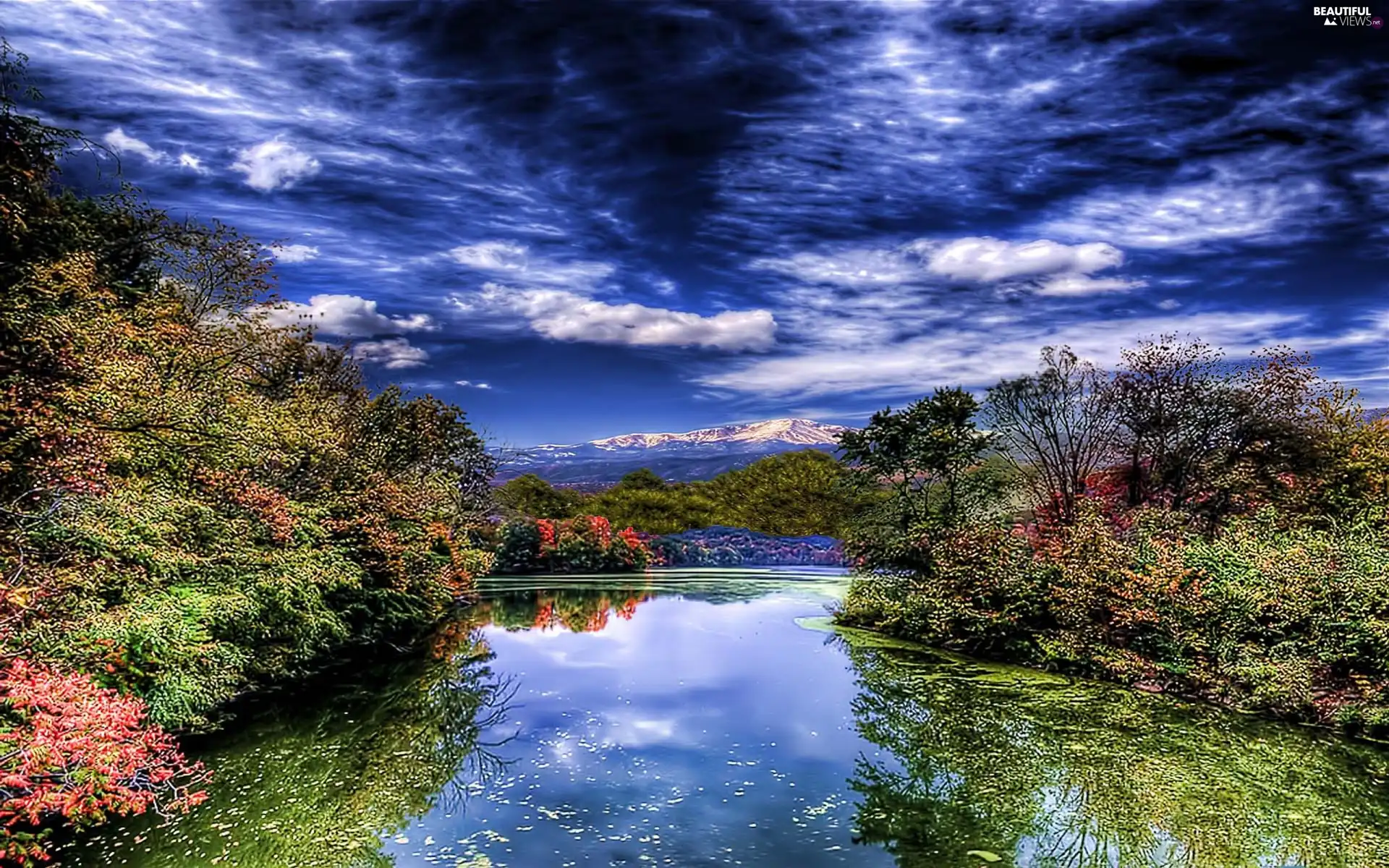 lakes, Bush, clouds, color