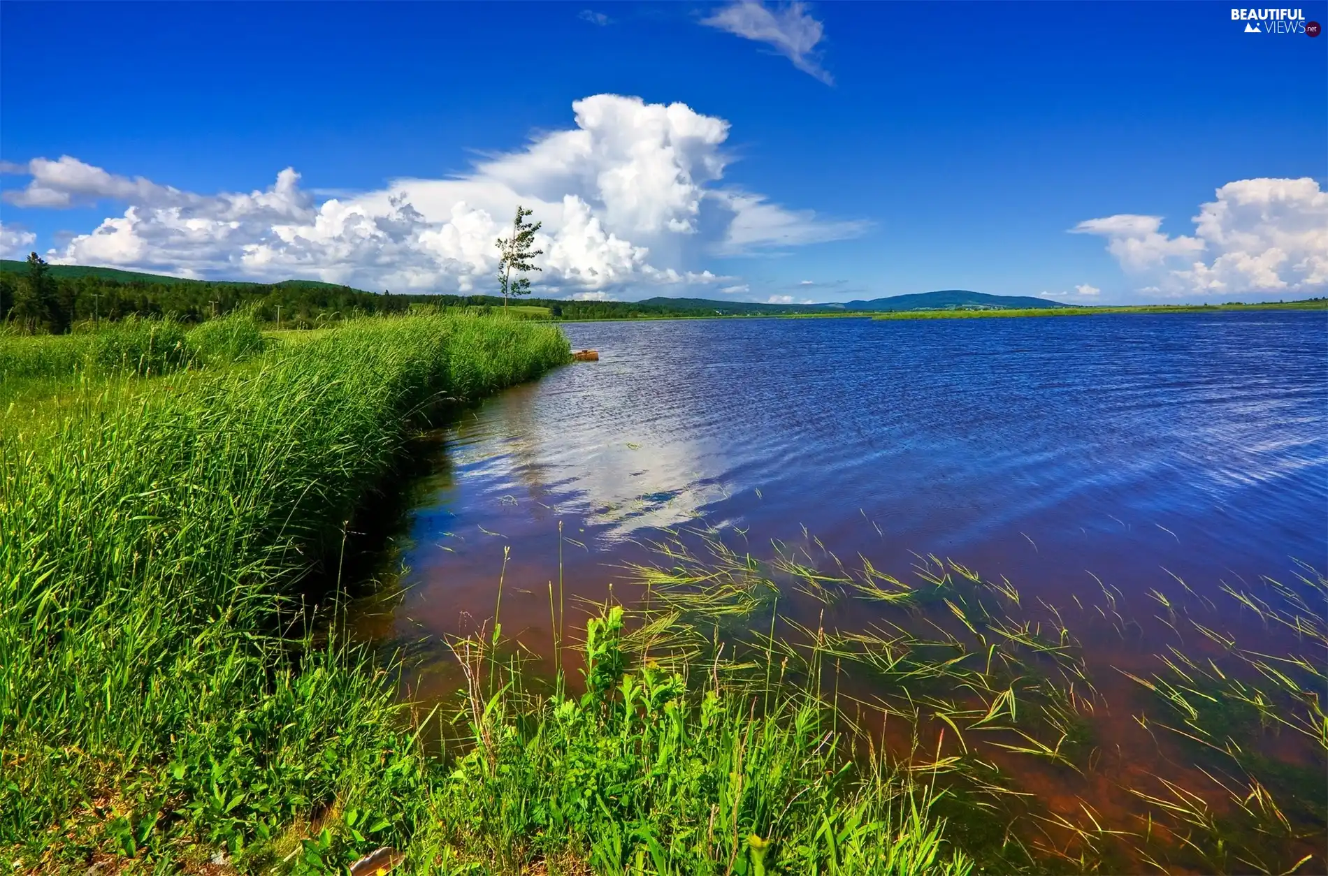 clouds, lake, Meadow