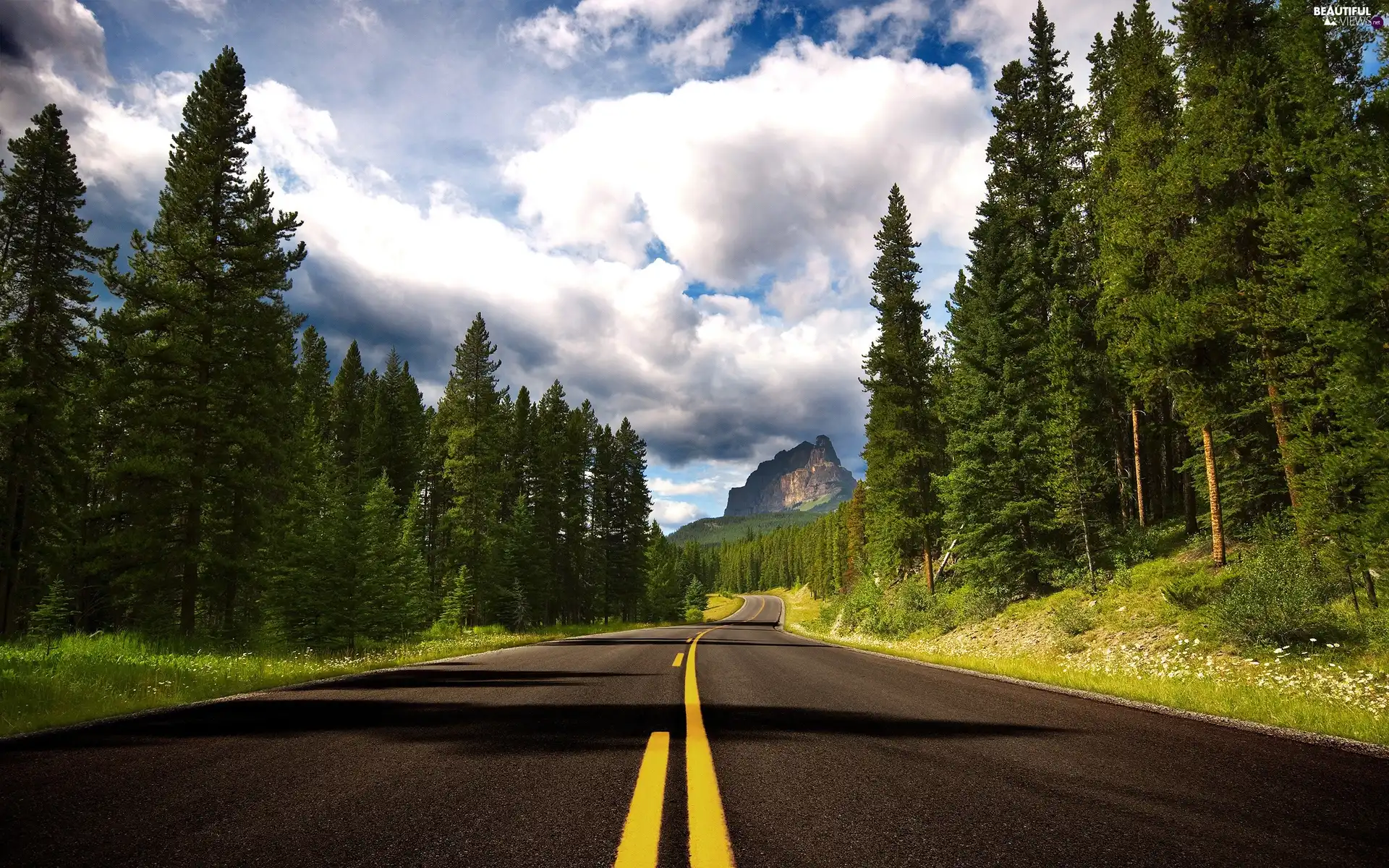 mountains, forest, clouds, Way