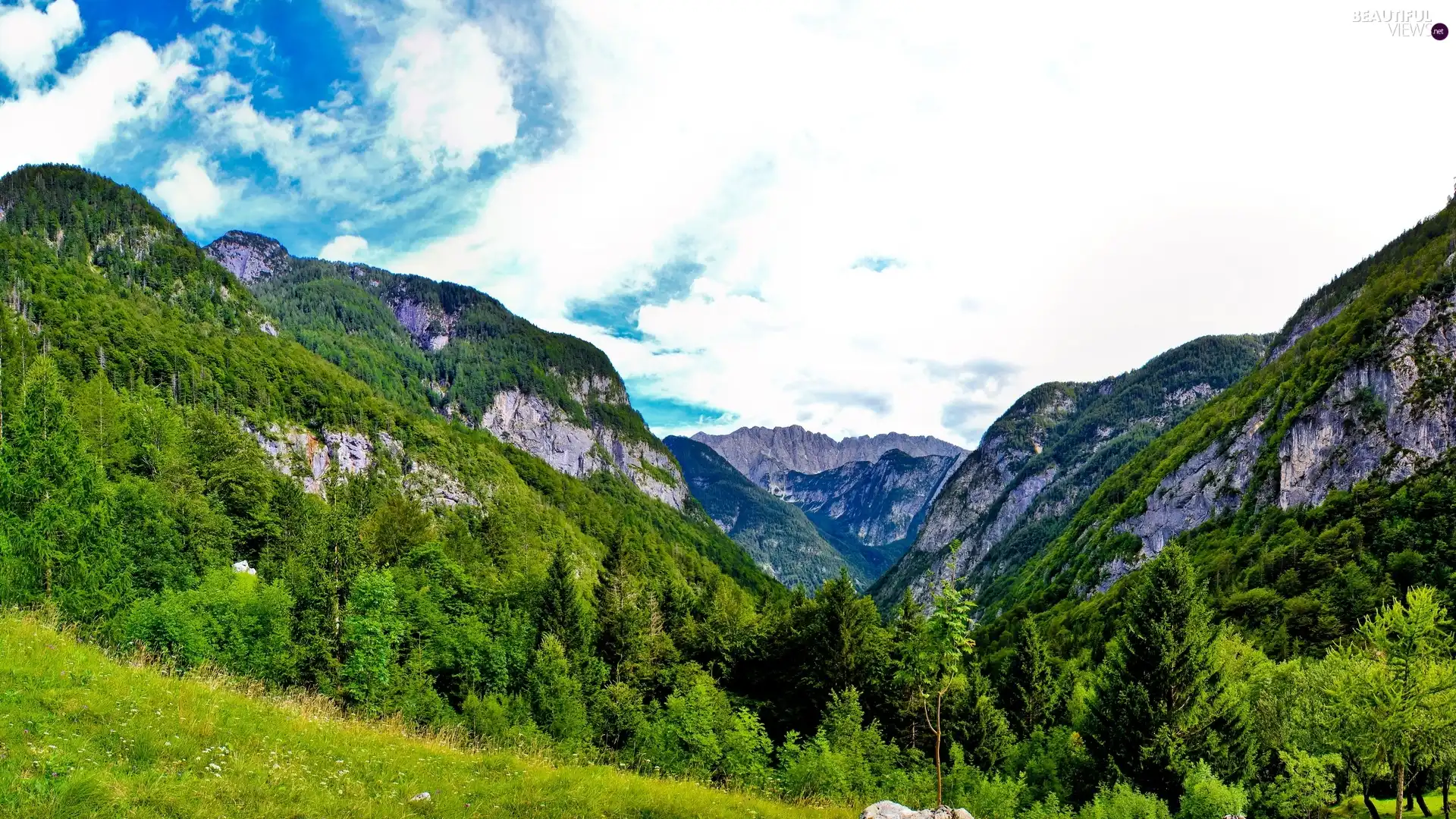 Mountains, Meadow, clouds, woods