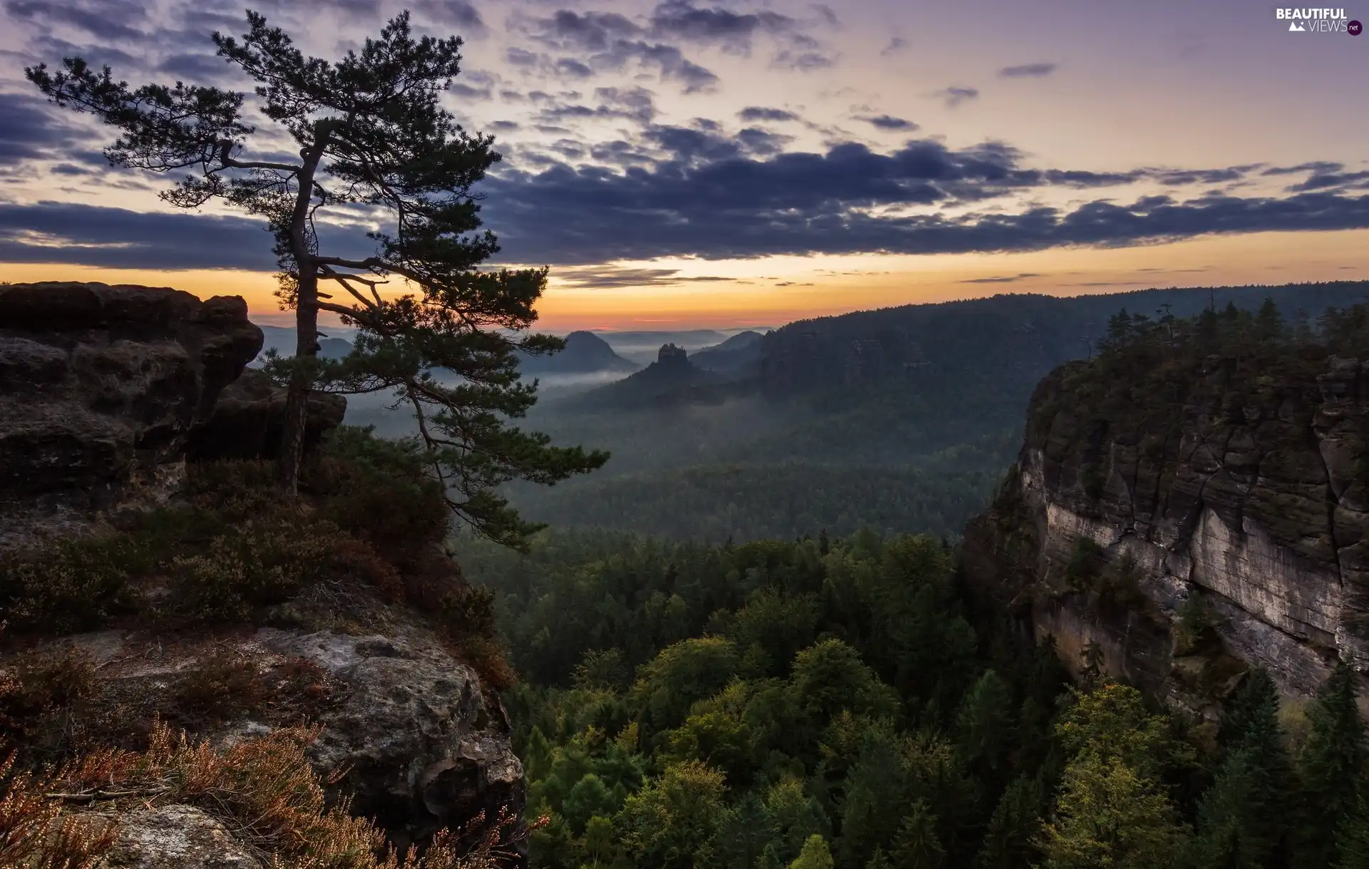pine, clouds, Mountains, rocks, Sunrise