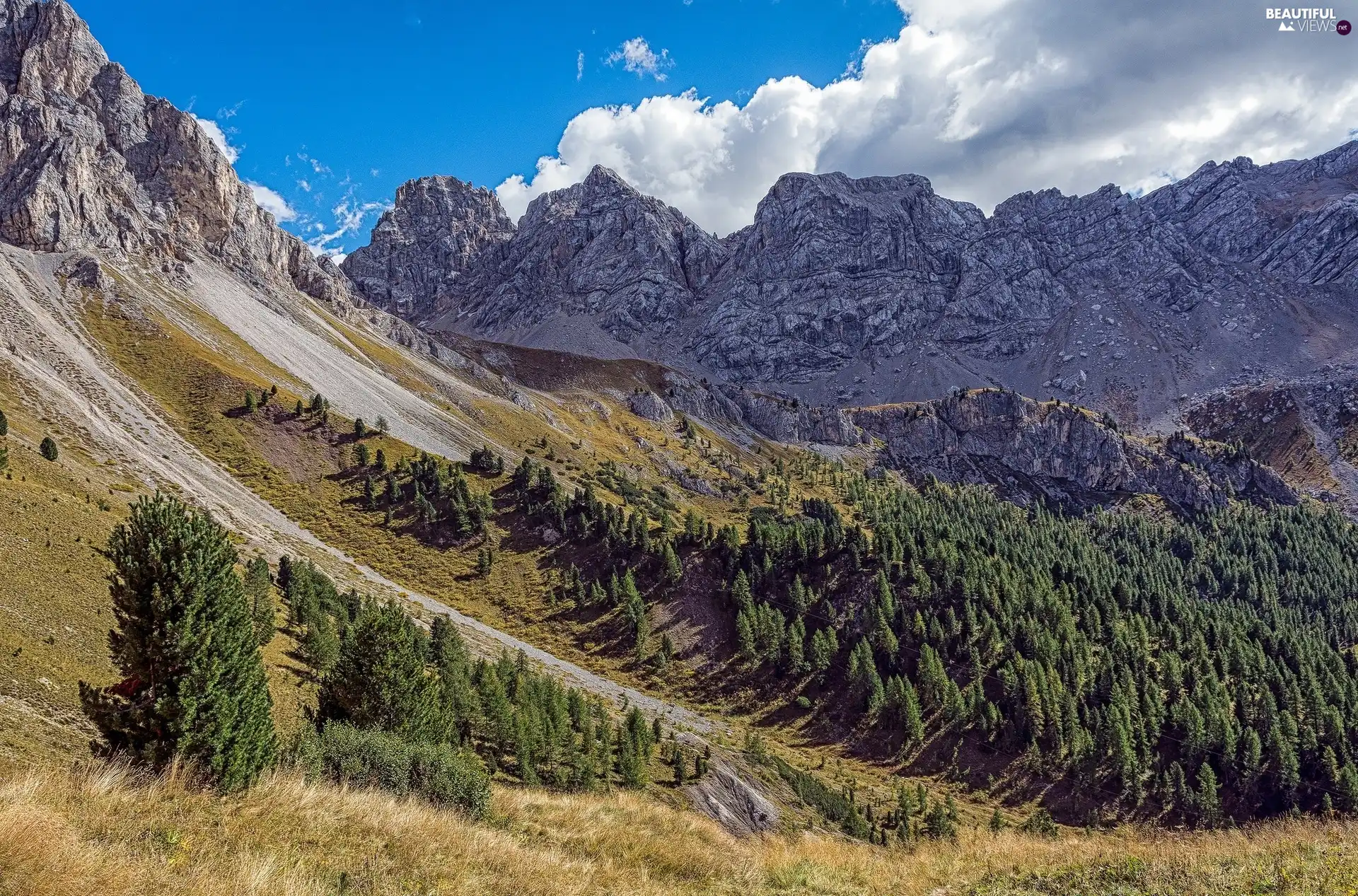 Mountains, viewes, clouds, trees