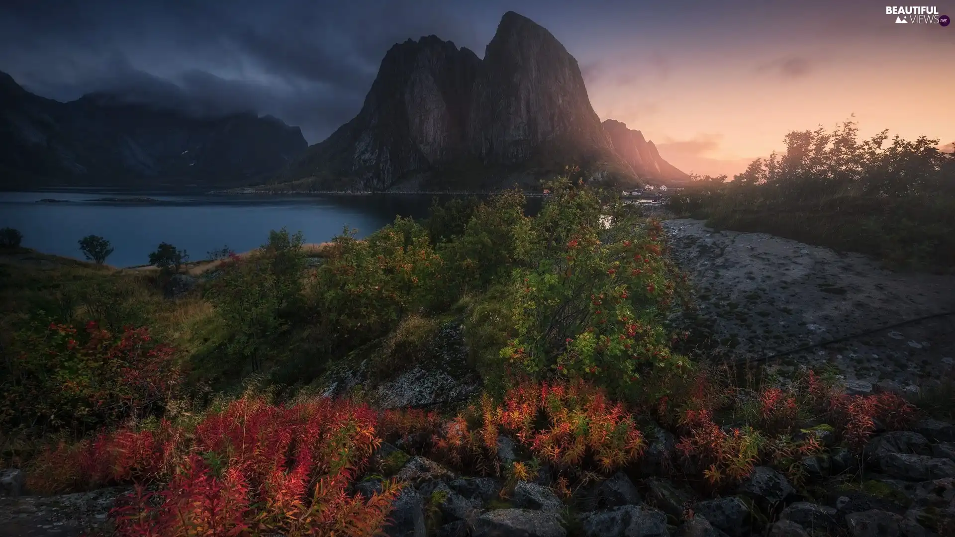 Plants, Lofoten, Norwegian Sea, viewes, Houses, Norway, Reine Village, clouds, trees, Mountains