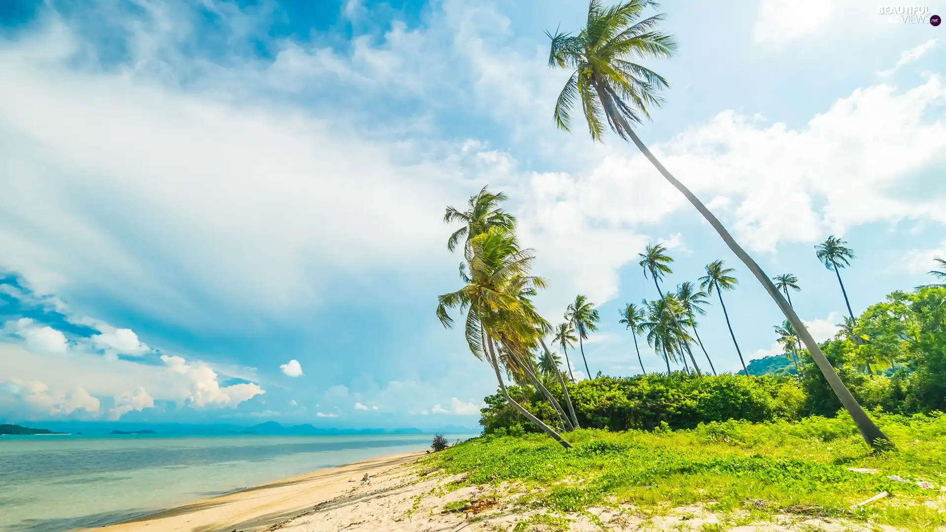 VEGETATION, sea, Tropical, clouds, Beaches, Palms