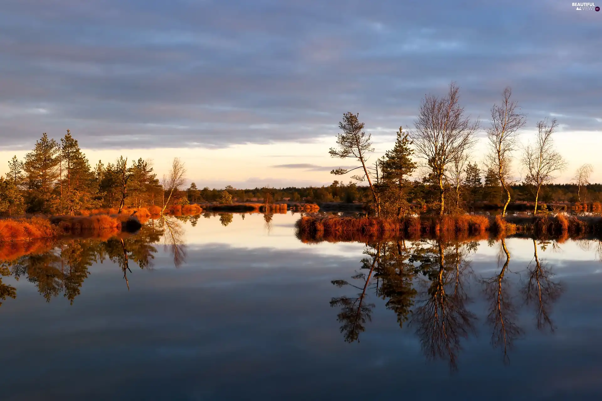 trees, autumn, clouds, reflection, viewes, lake