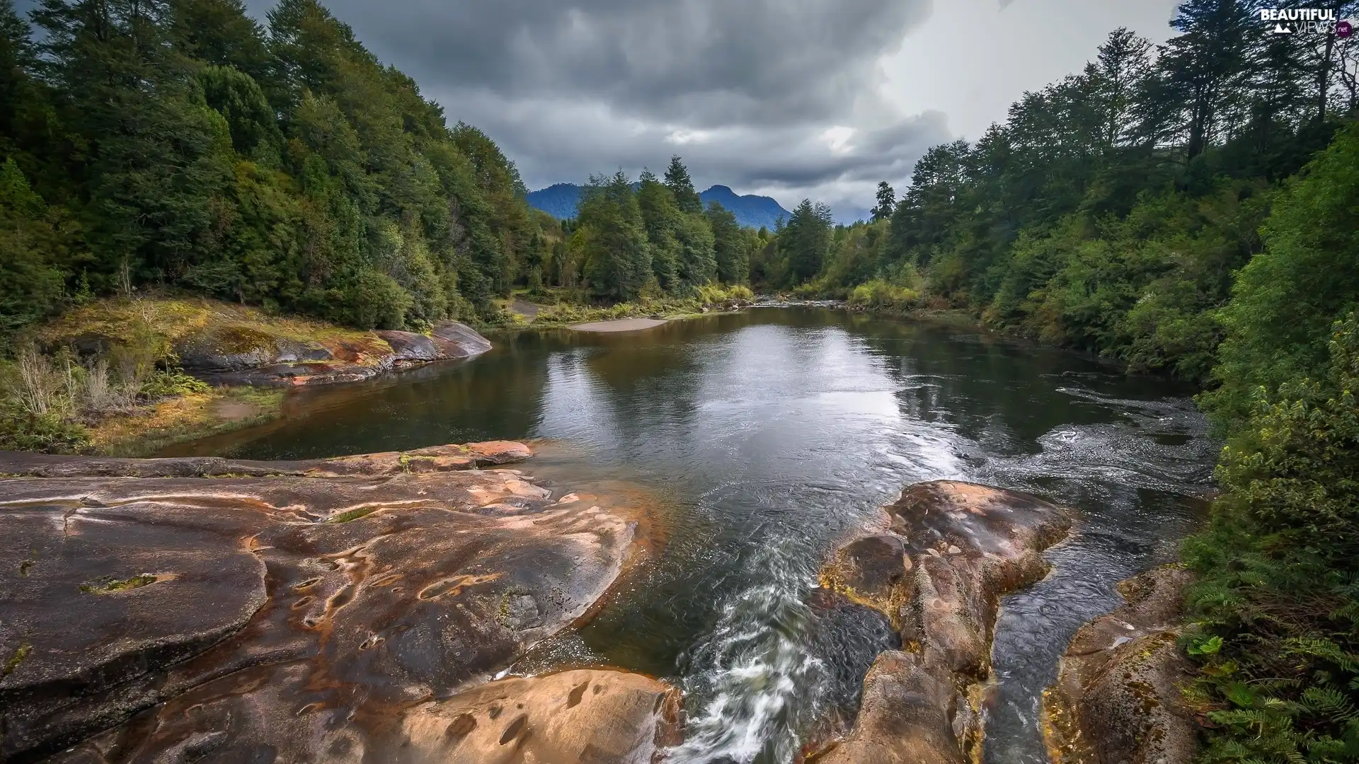 forest, River, viewes, clouds, trees, rocks