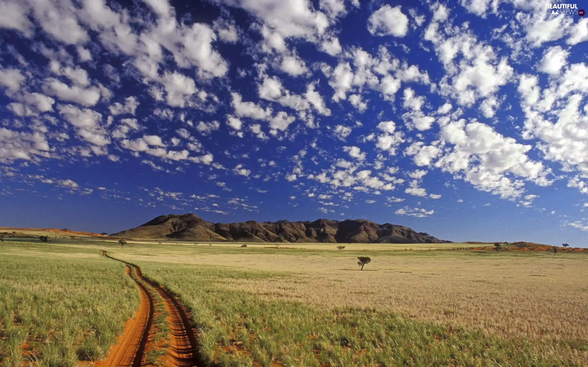 savanna, Mountains, clouds, Way