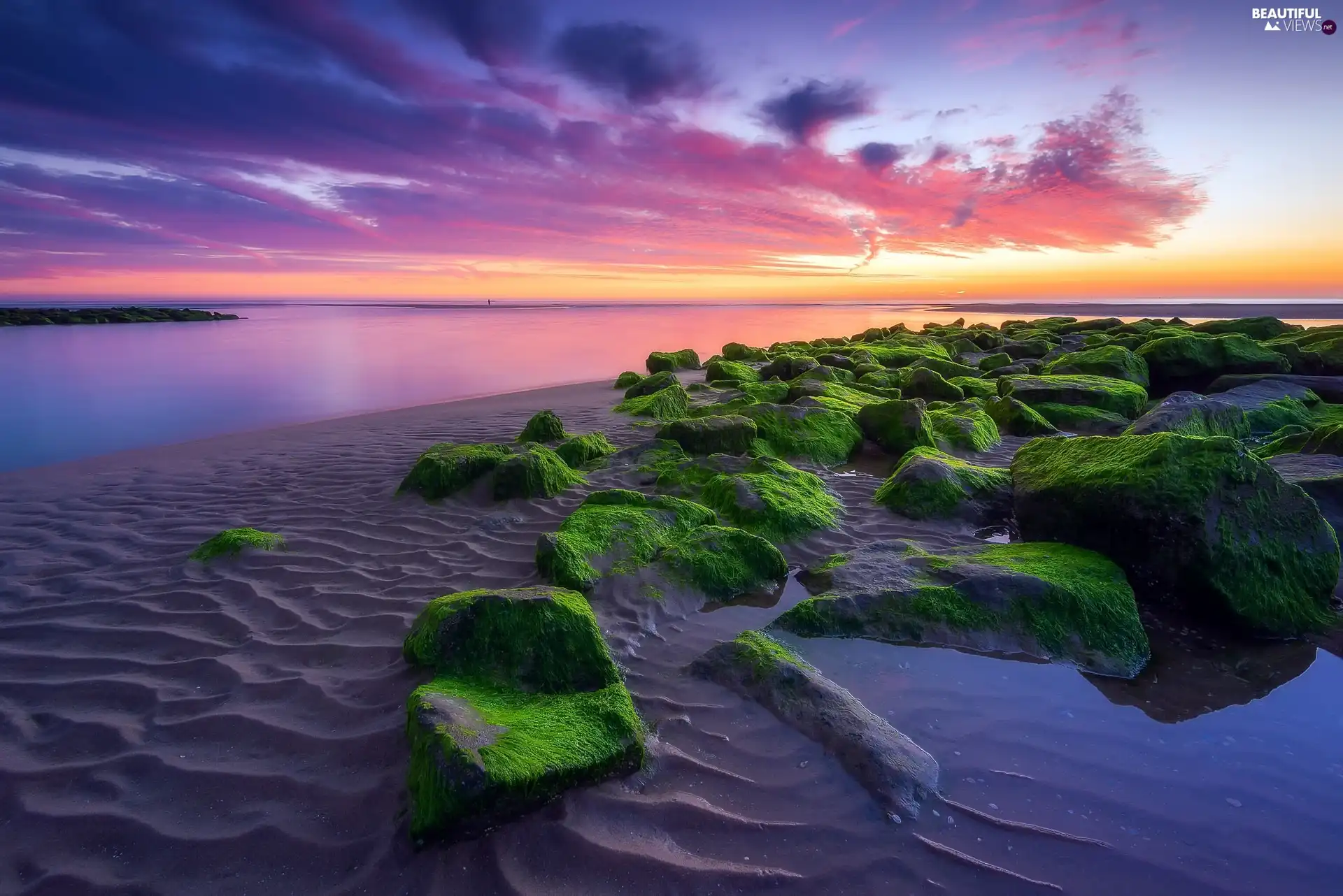 clouds, Beaches, Netherlands, mossy, Katwijk City, Great Sunsets, sea, Stones