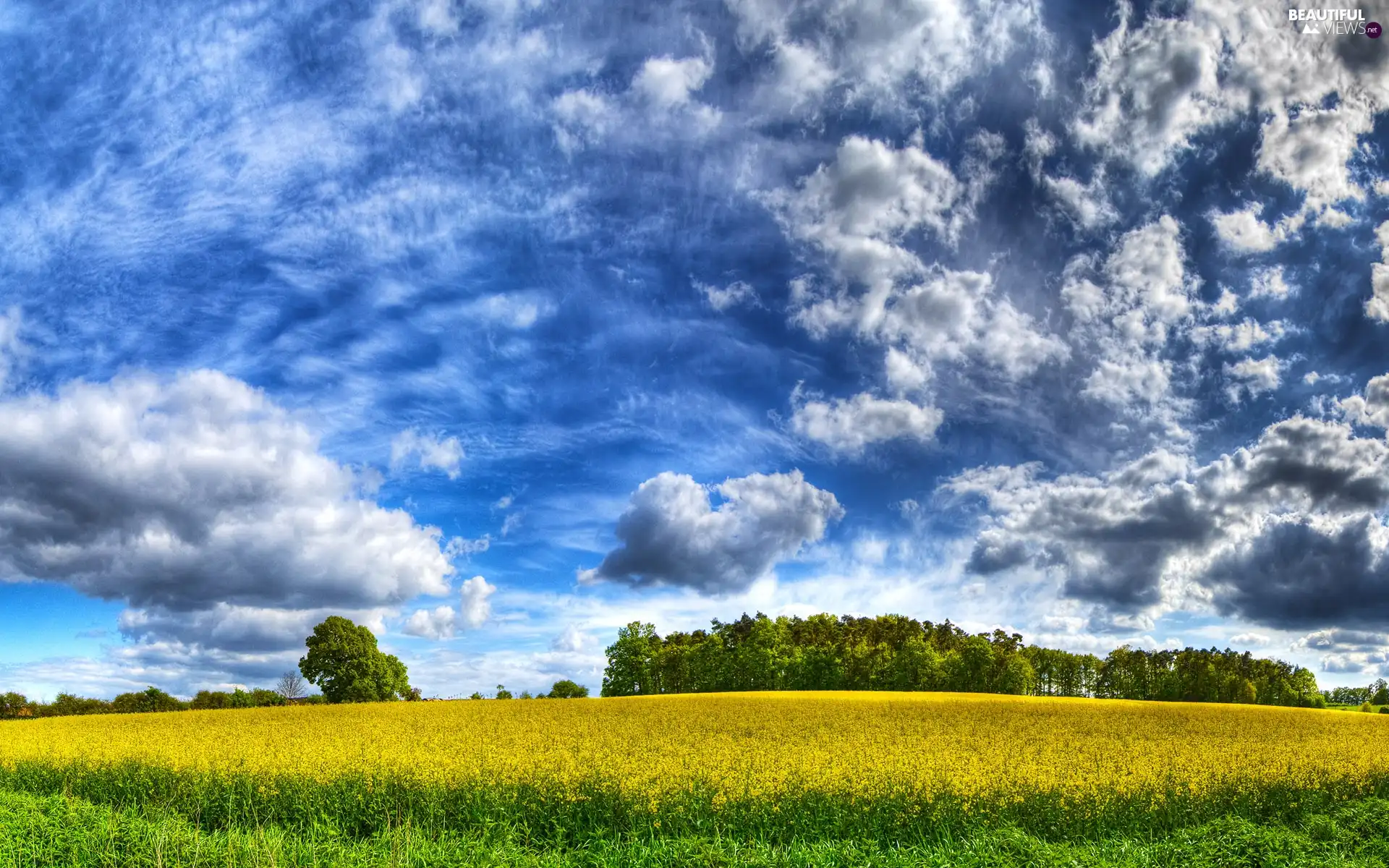 clouds, Field, Sky