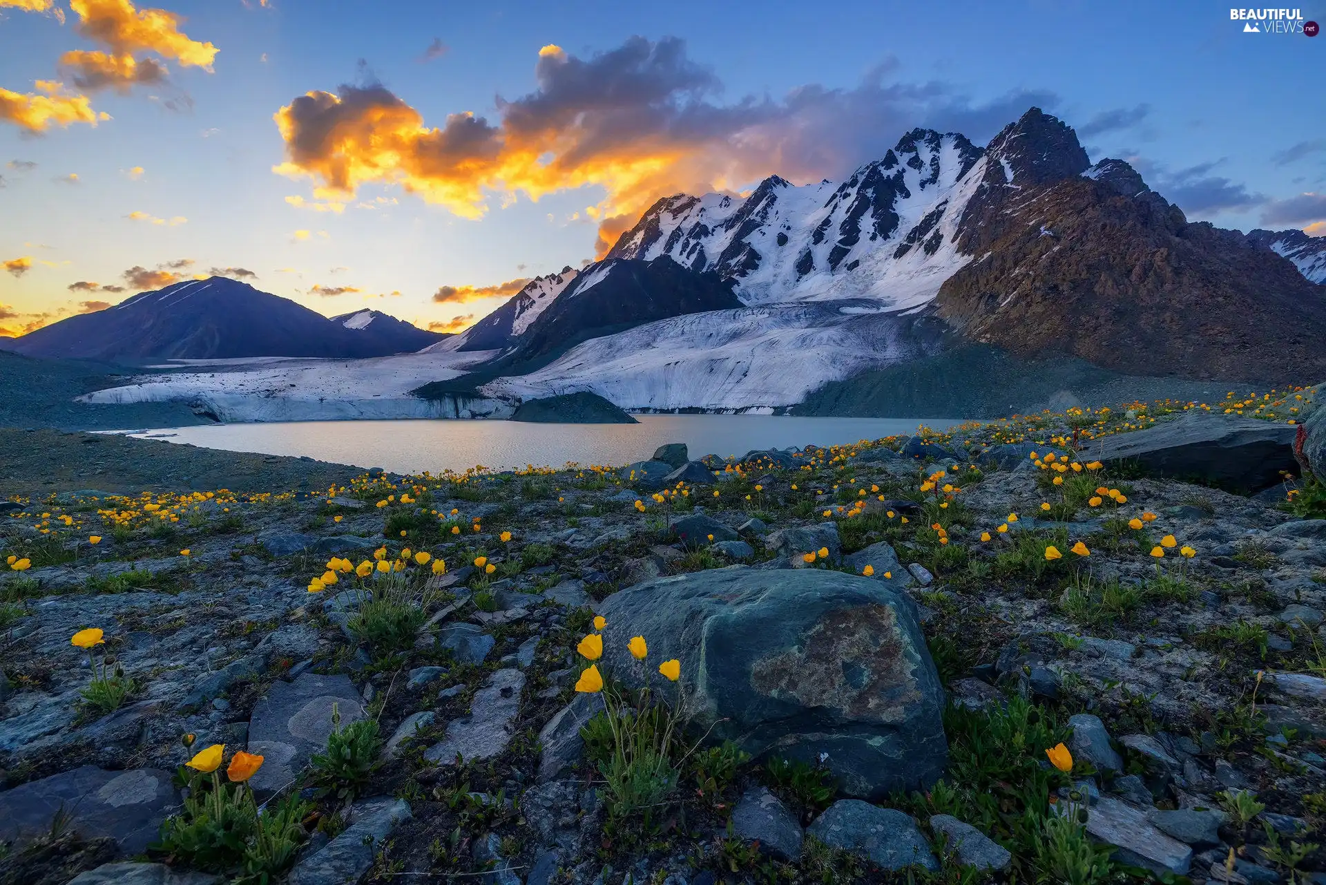lake, Mountains, Flowers, clouds, Stones, snow