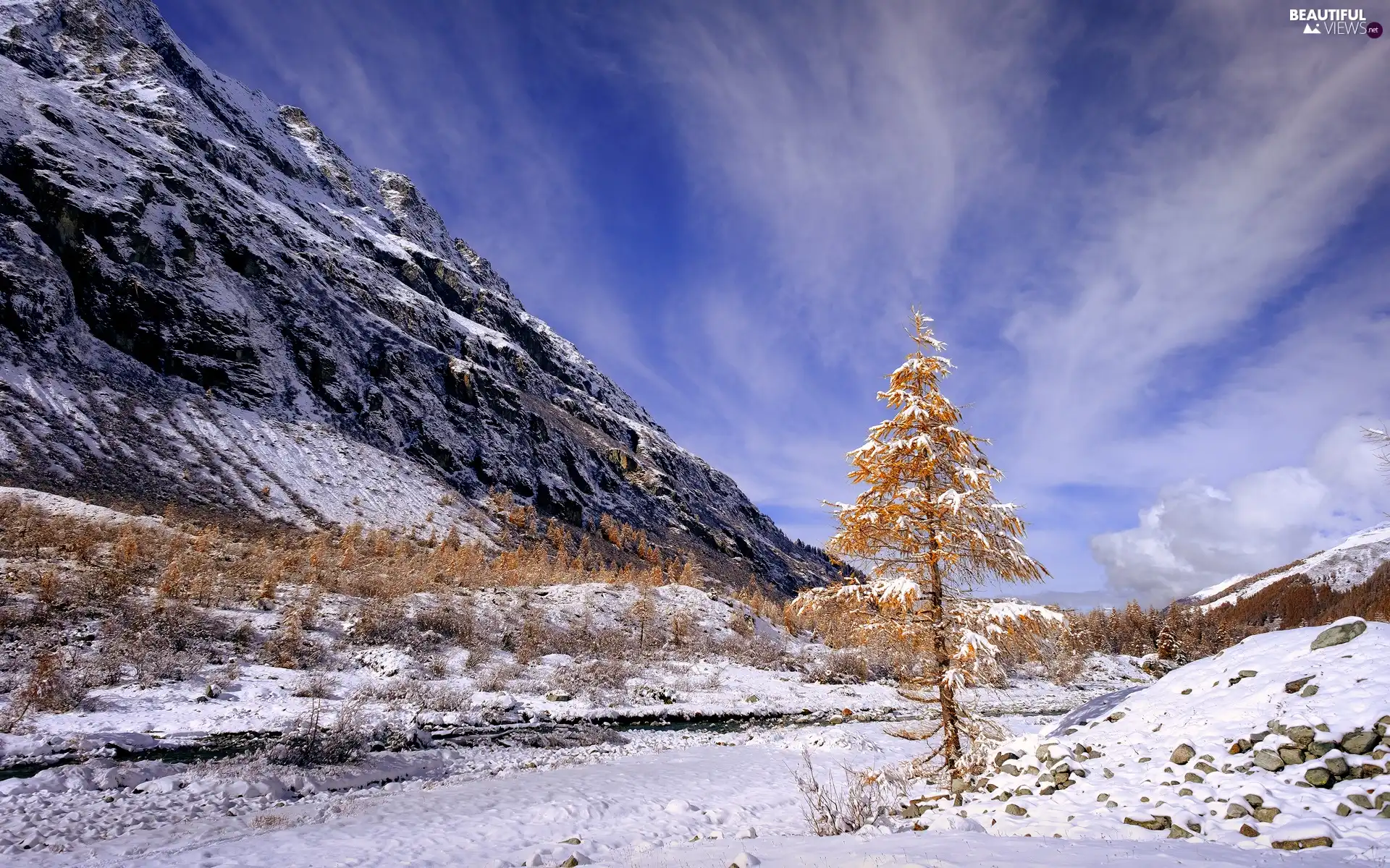 Mountains, winter, viewes, clouds, trees, Snowy