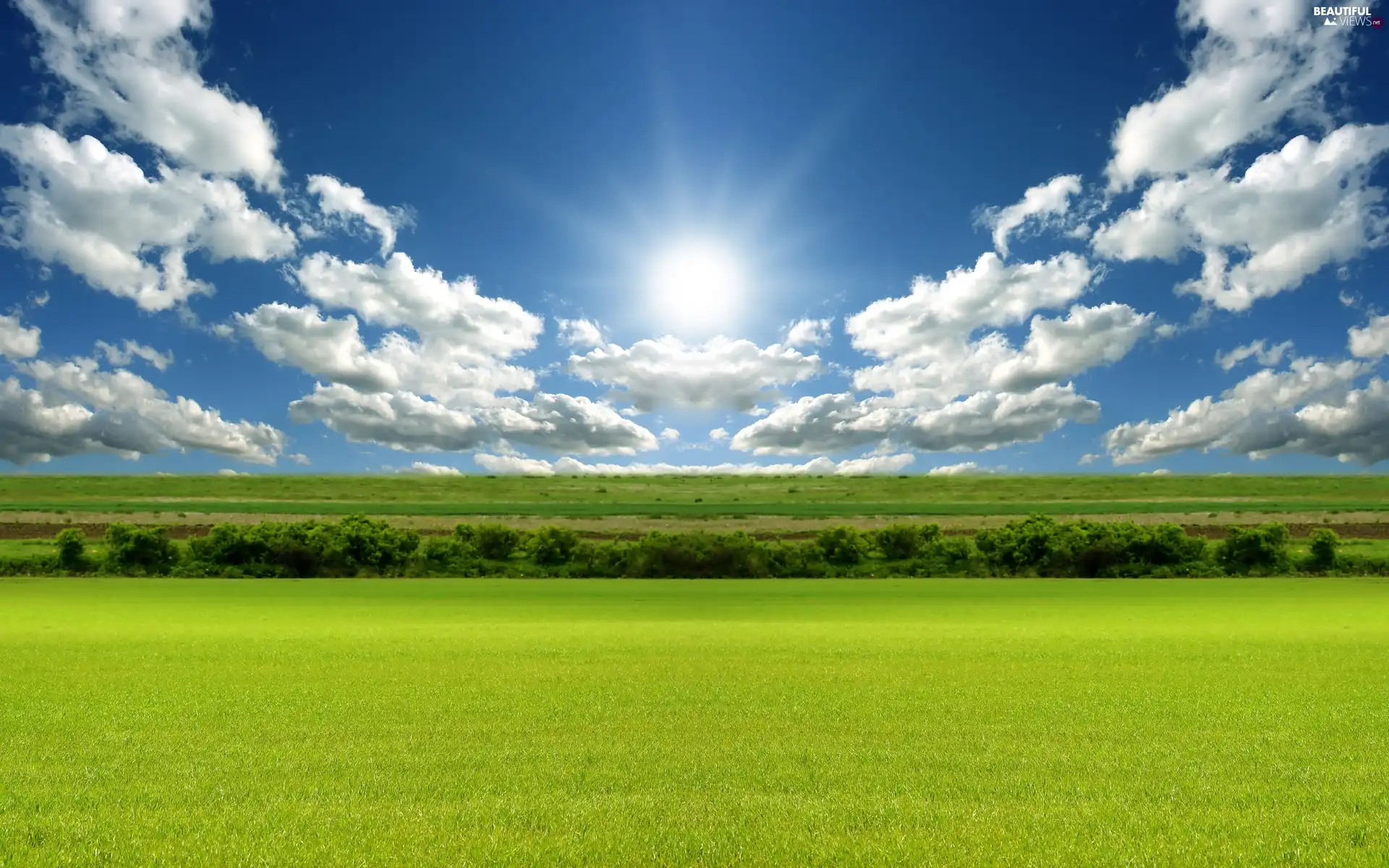 clouds, sun, trees, viewes, medows