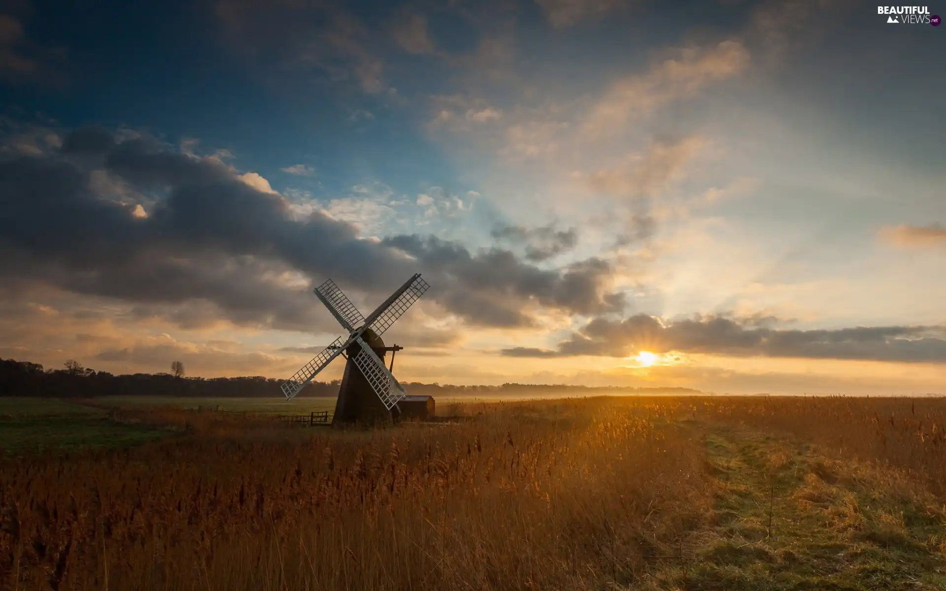 forest, medows, rays, Way, Windmill, clouds, sun