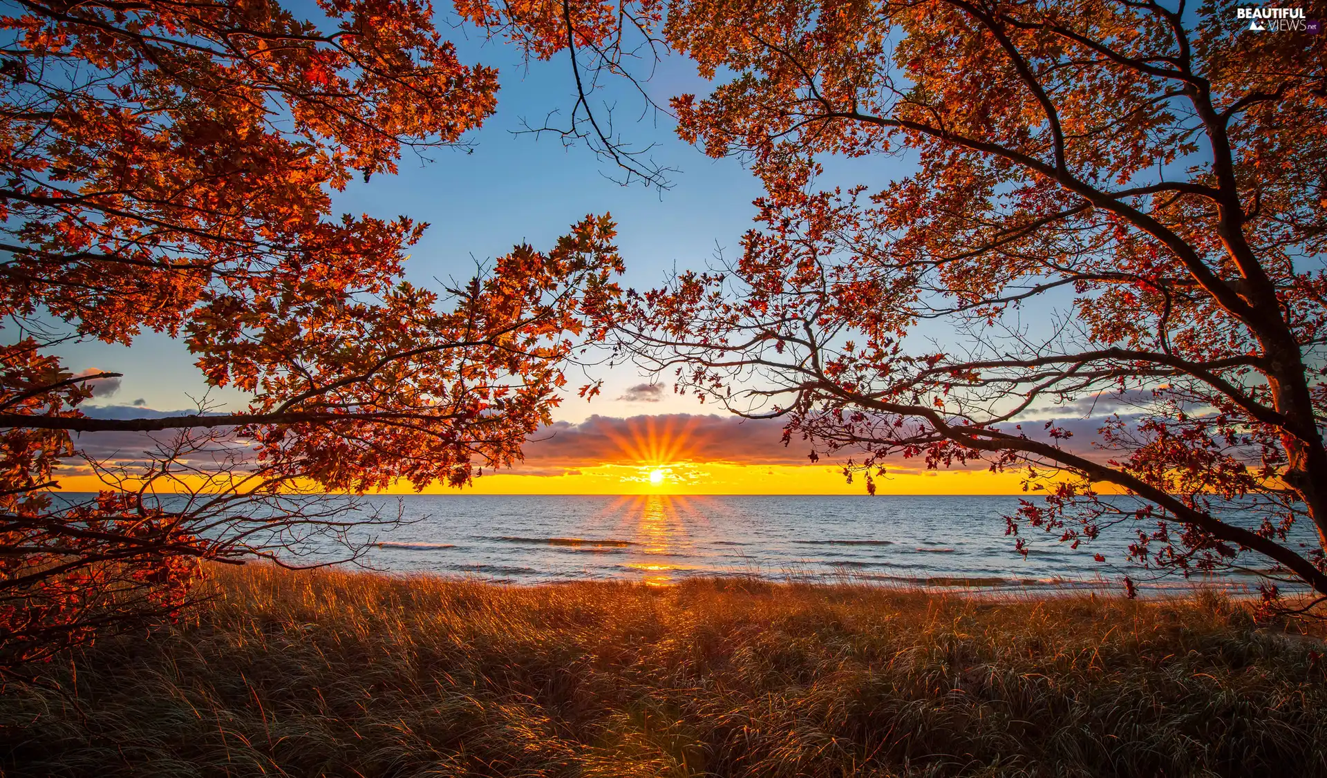 trees, lake, Sunrise, clouds, viewes, branch pics