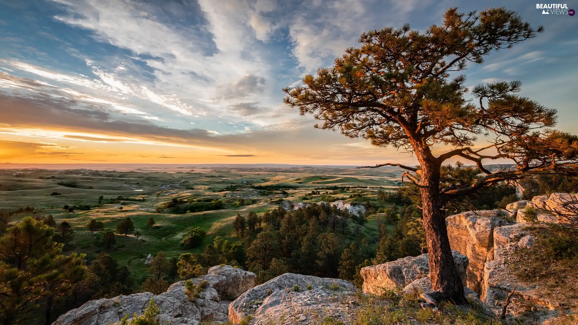 trees, pine, Sunrise, rocks, The Hills, viewes, clouds