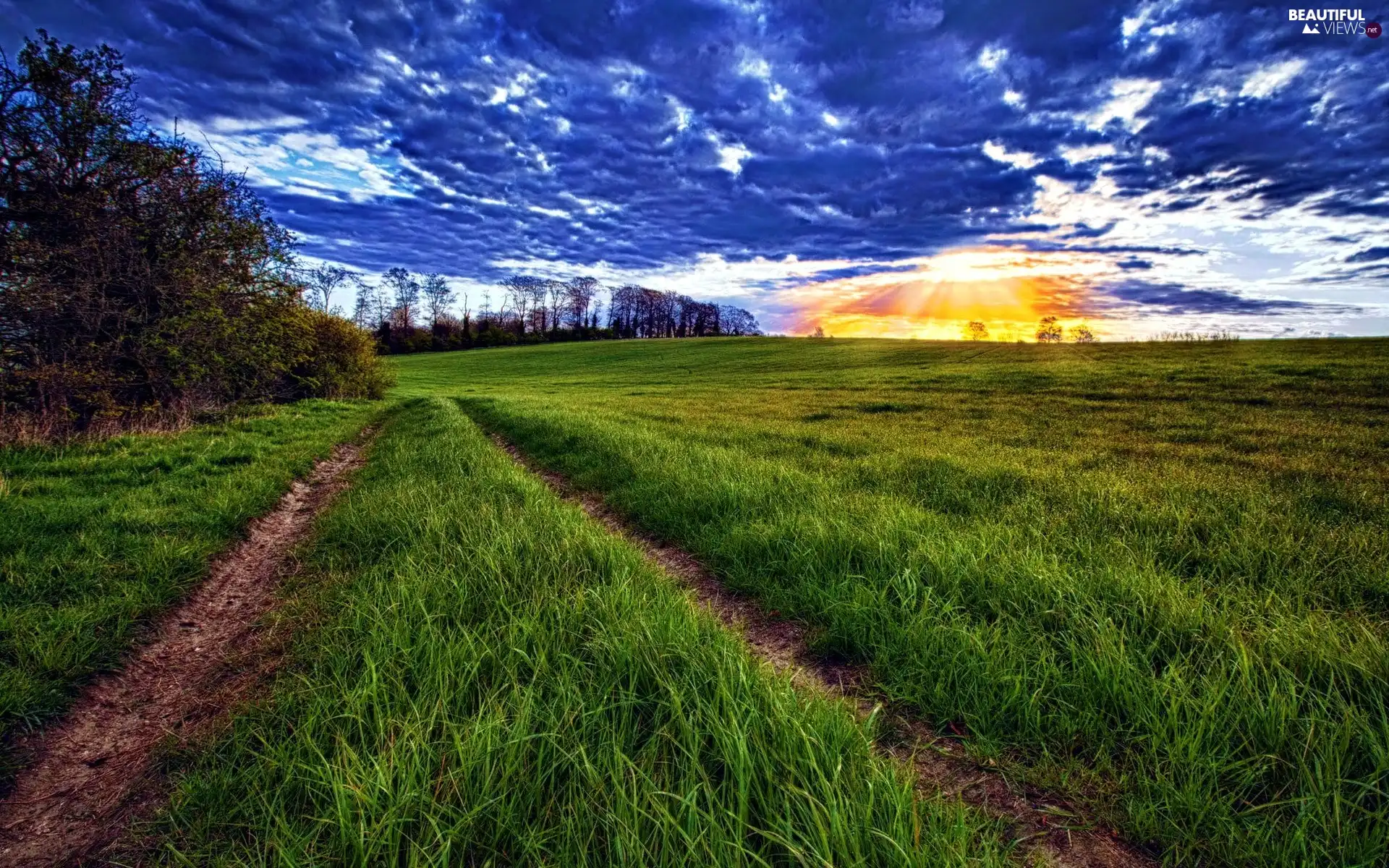 Great Sunsets, Meadow, clouds