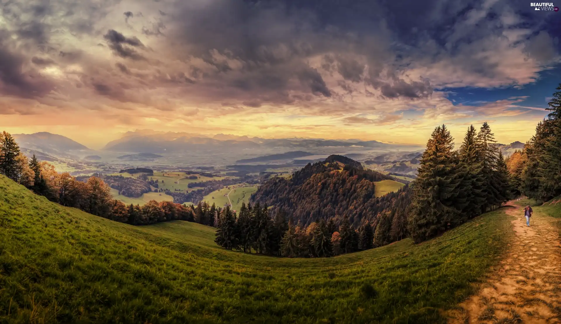 clouds, Switzerland, Meadow, grass, forest