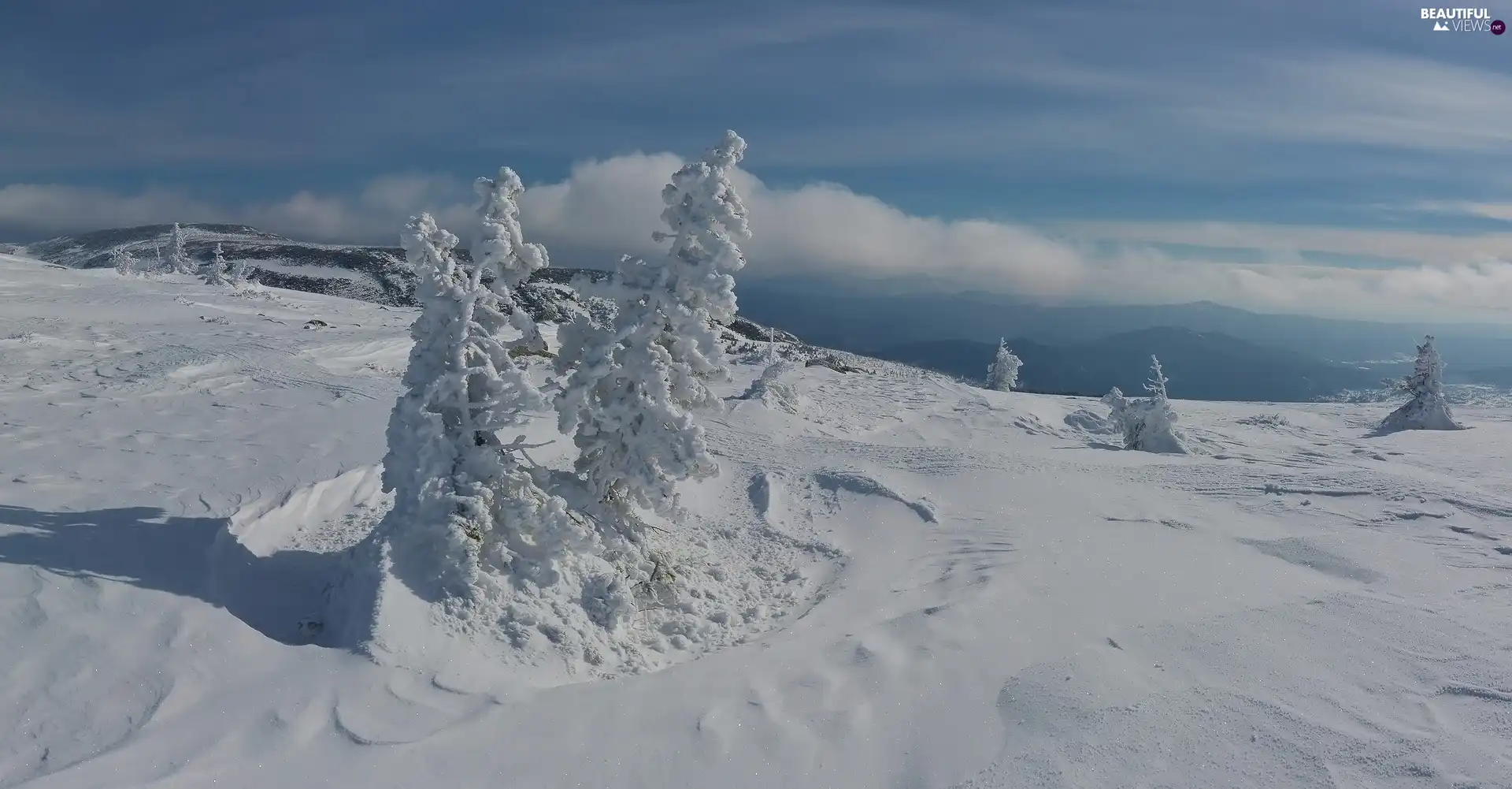 viewes, winter, Hill, clouds, snow, trees