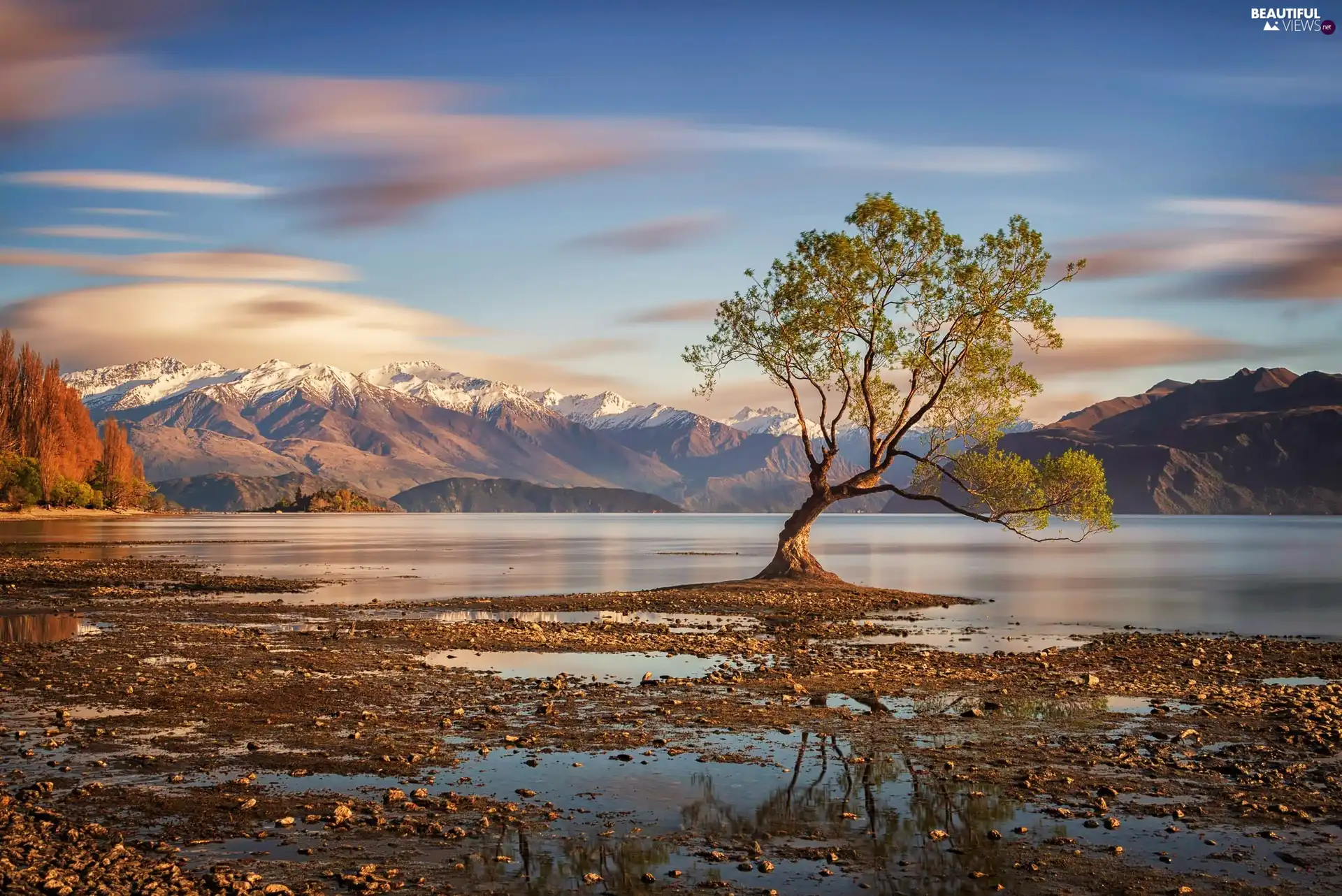 trees, Mountains, clouds, lake