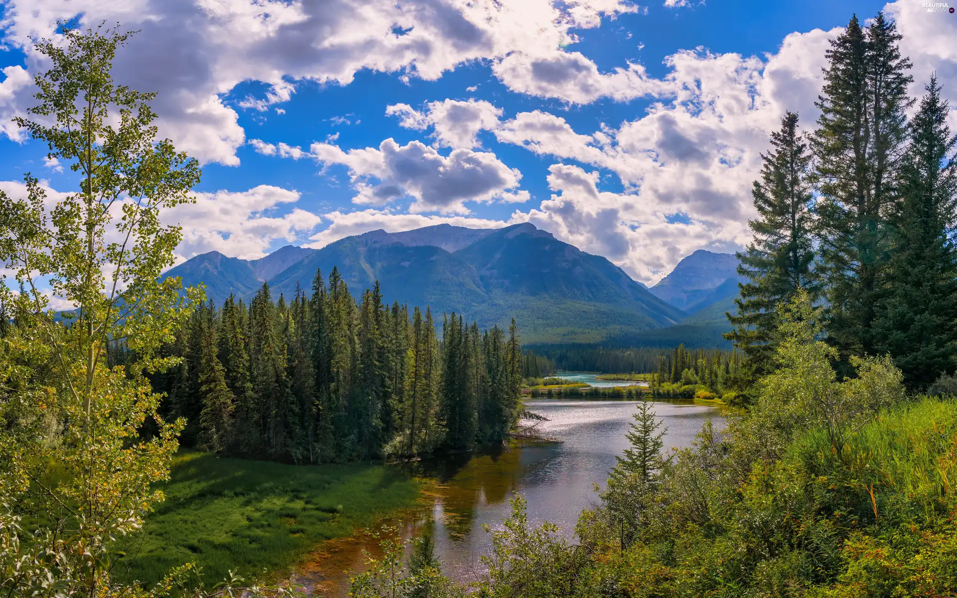 viewes, River, Mountains, clouds, Plants, trees