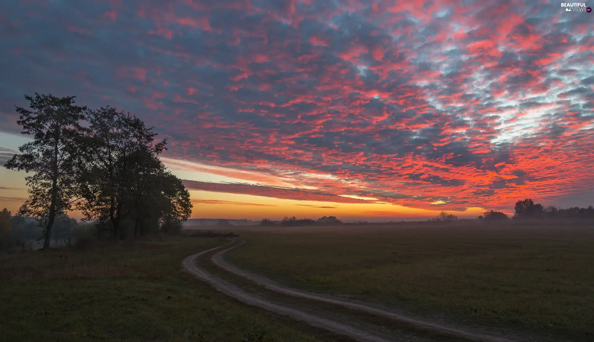 Way, Sky, trees, clouds, Sunrise, Meadow, viewes