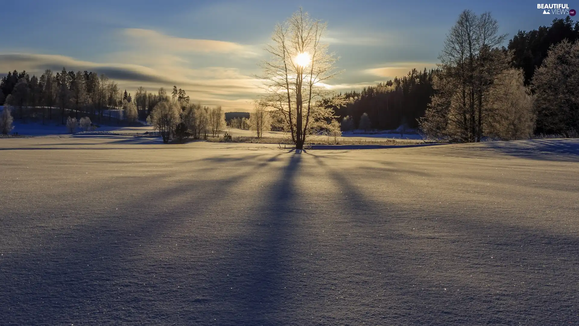 viewes, winter, Sunrise, clouds, forest, trees