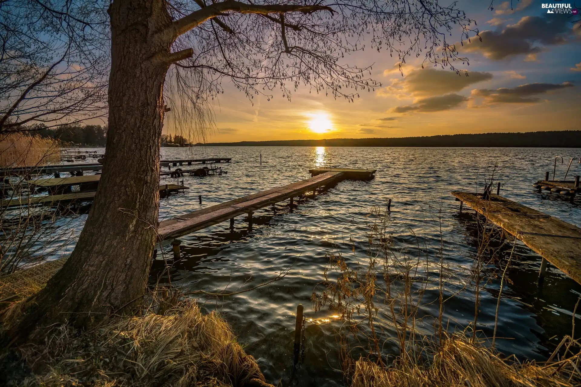 viewes, lake, Sunrise, clouds, Platforms, trees