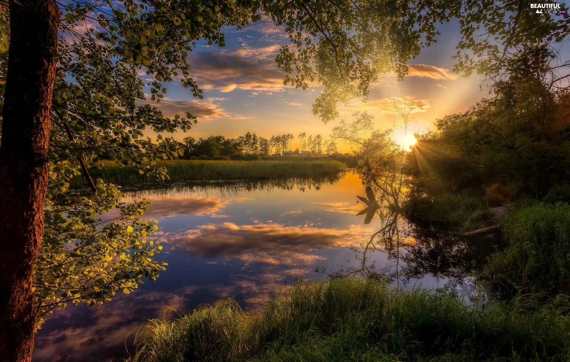 viewes, River, Sunrise, clouds, VEGETATION, trees