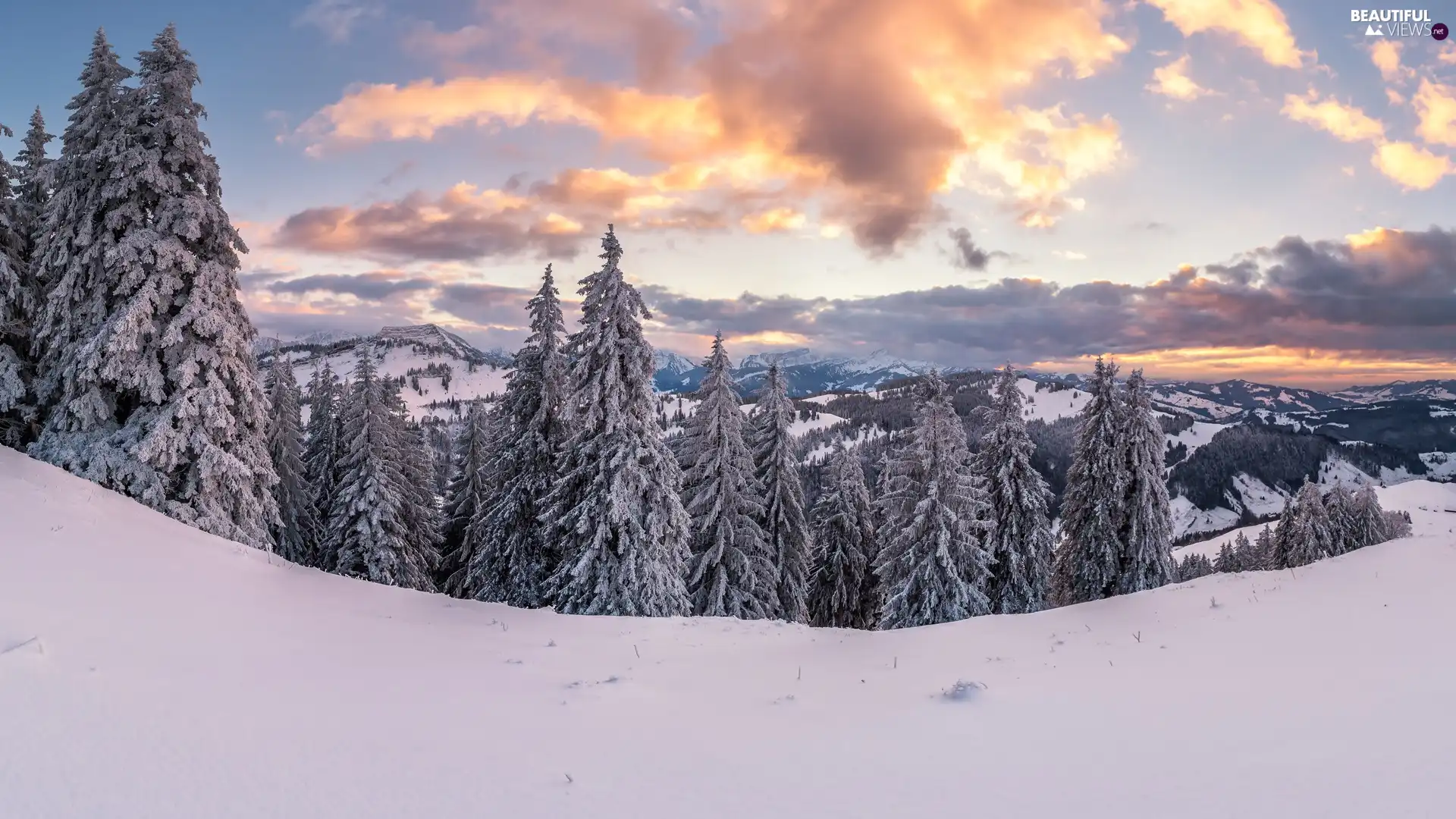 viewes, Mountains, winter, clouds, forest, trees