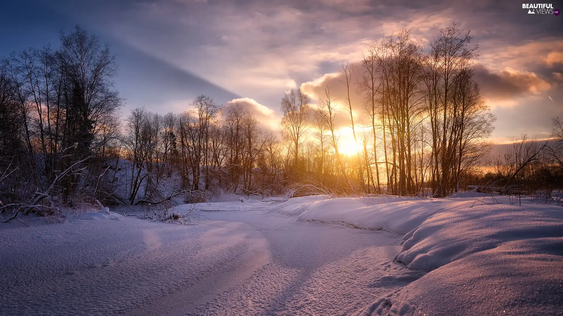 Sunrise, clouds, trees, viewes, winter