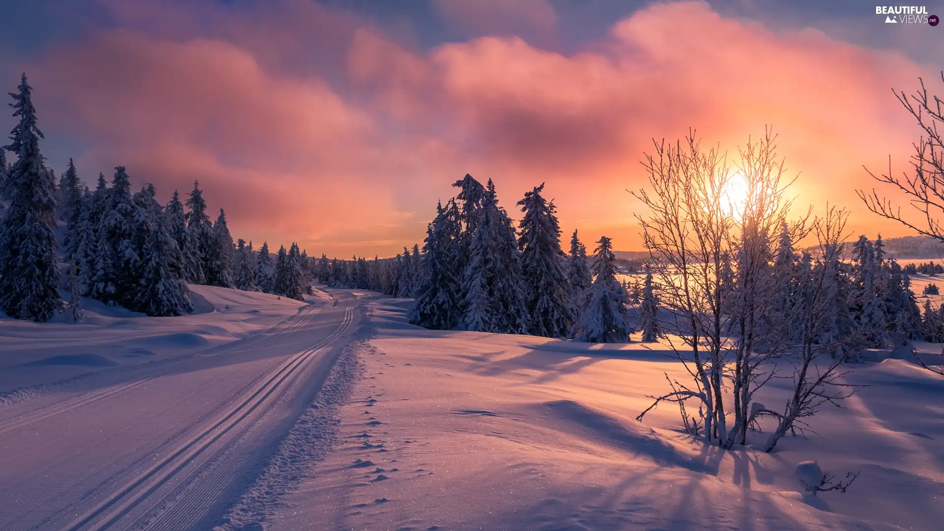 trees, winter, Sunrise, clouds, viewes, Way