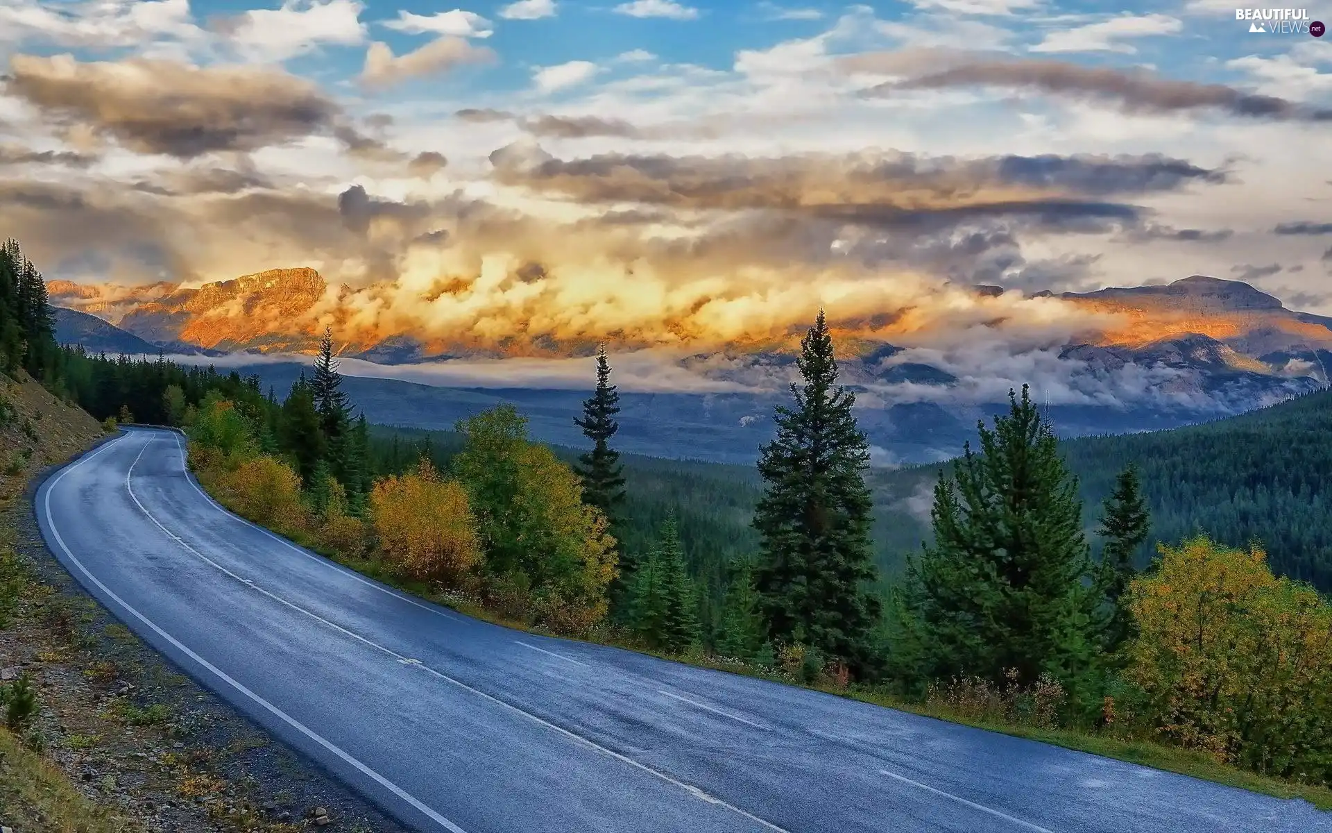 Way, woods, clouds, Mountains